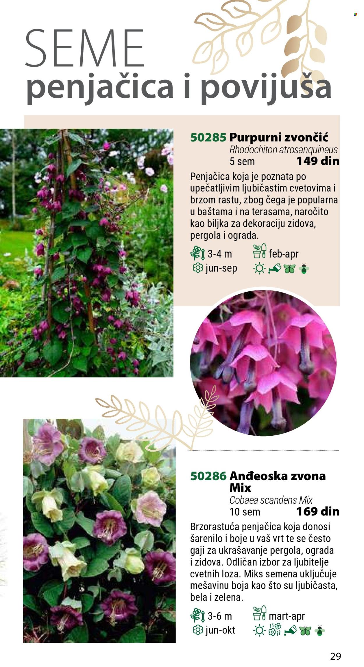 Flora Ekspres katalog. Stranica 1