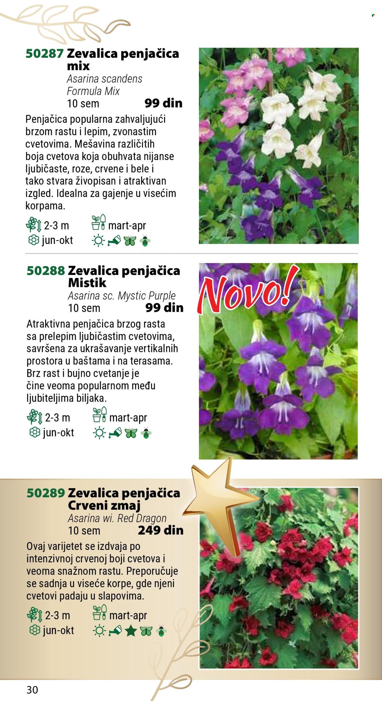 Flora Ekspres katalog. Stranica 1
