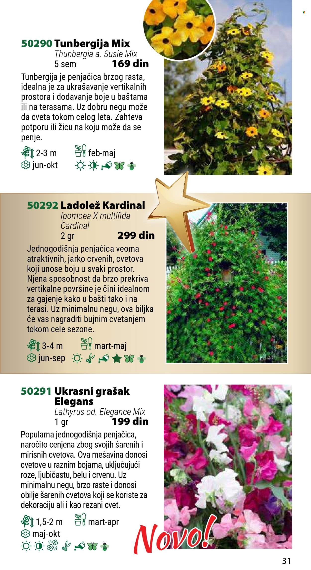 Flora Ekspres katalog. Stranica 1