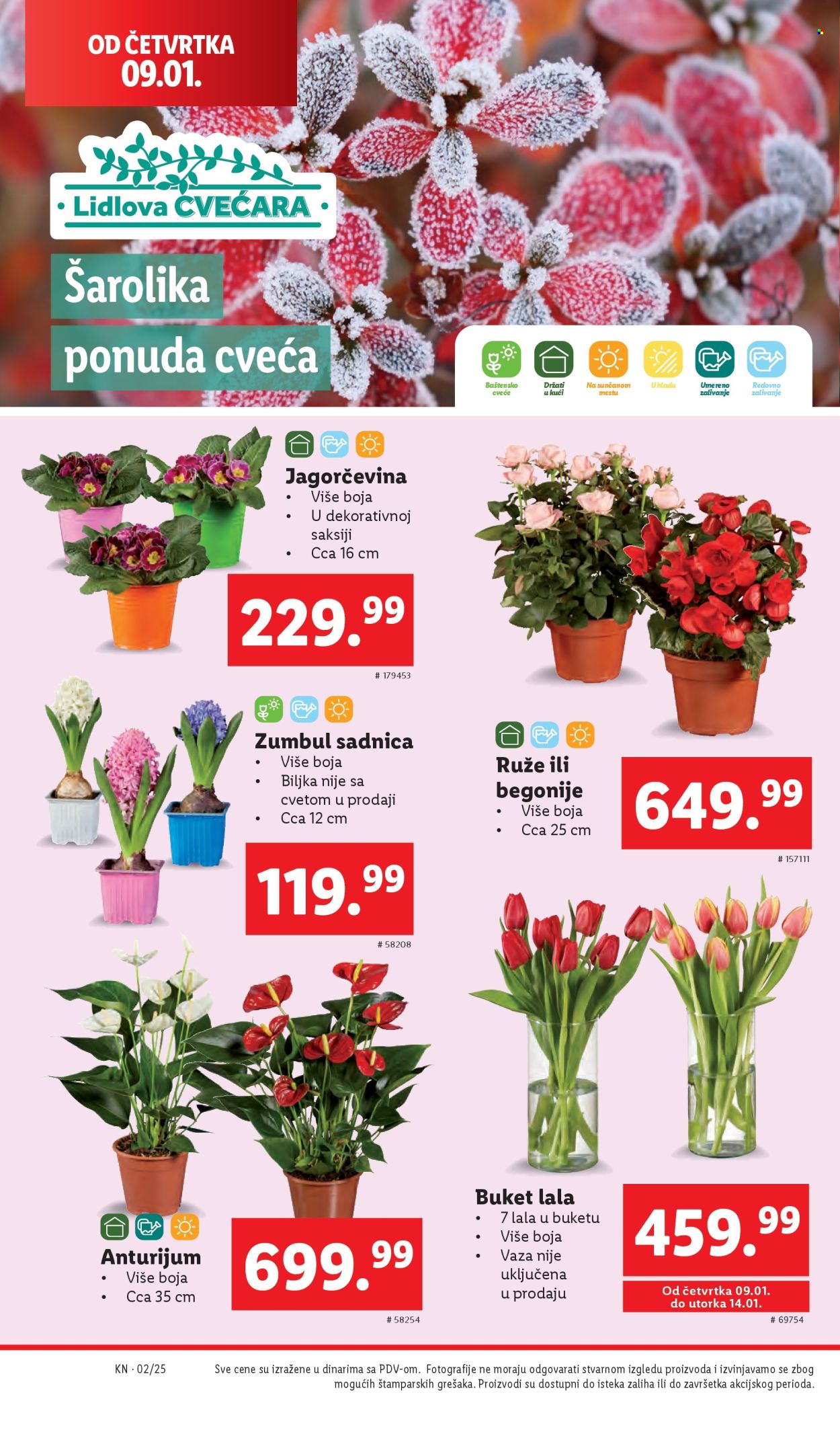 Lidl katalog - 09.01.2025 - 15.01.2025. Stranica 1