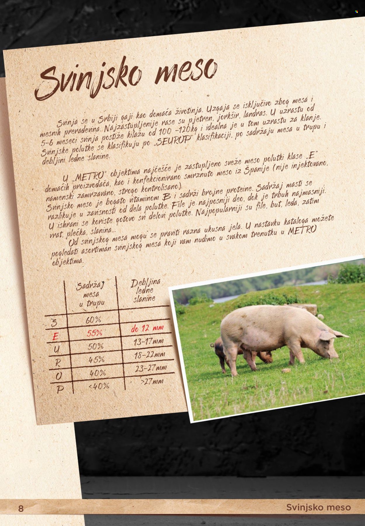 Metro katalog. Stranica 8