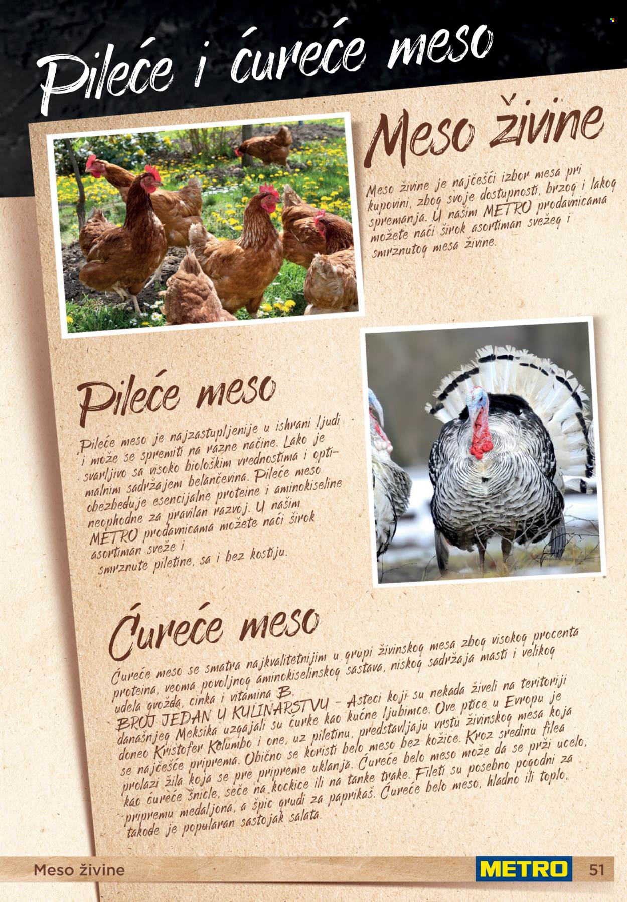 Metro katalog. Stranica 51