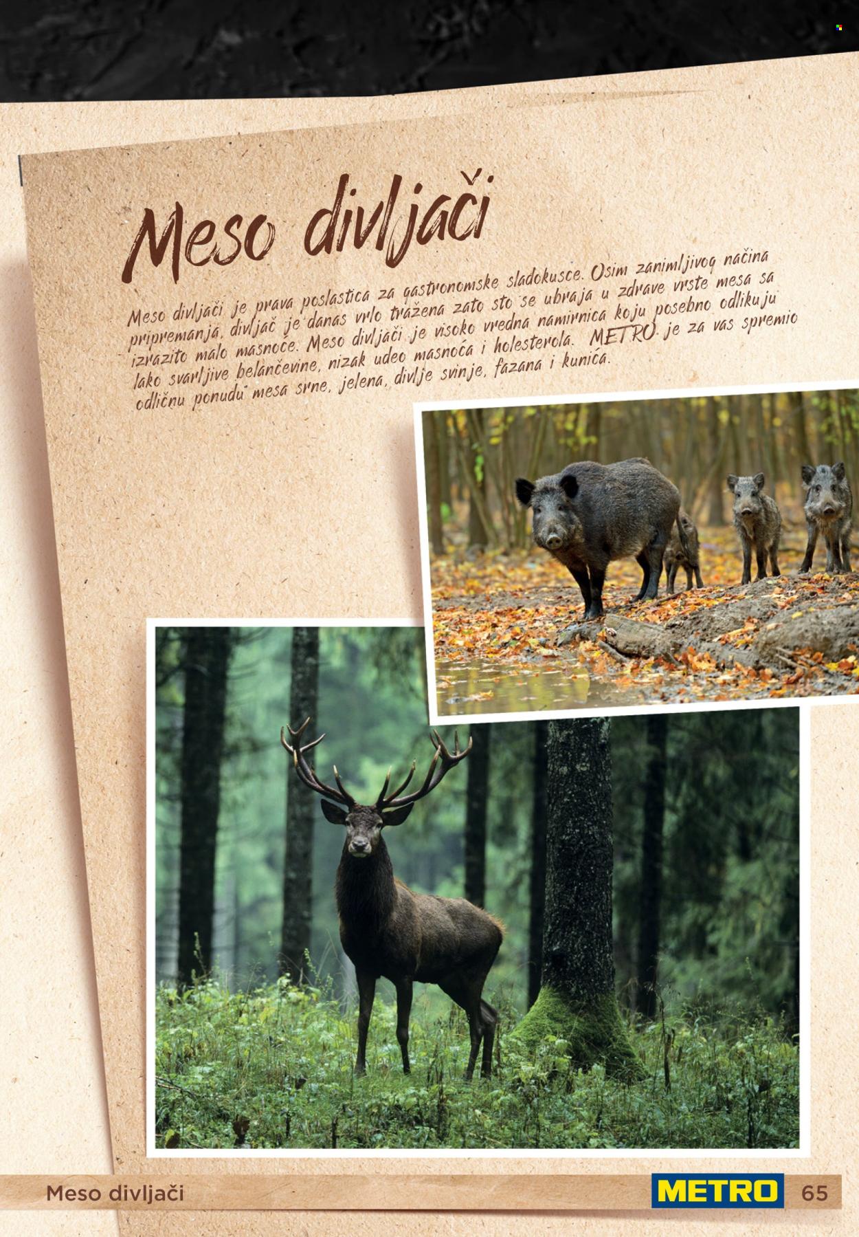 Metro katalog. Stranica 65