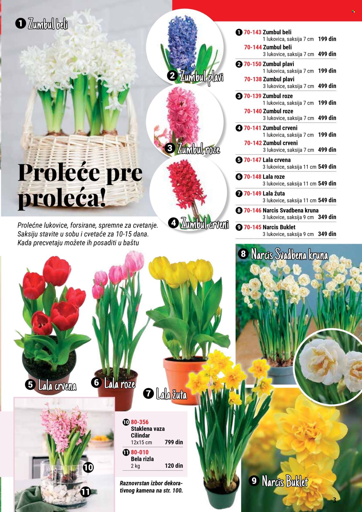 Flora Ekspres katalog. Stranica 1