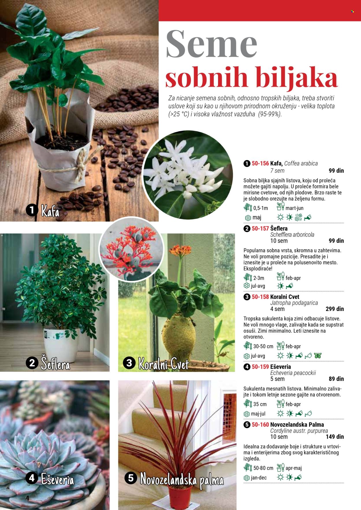 Flora Ekspres katalog. Stranica 1