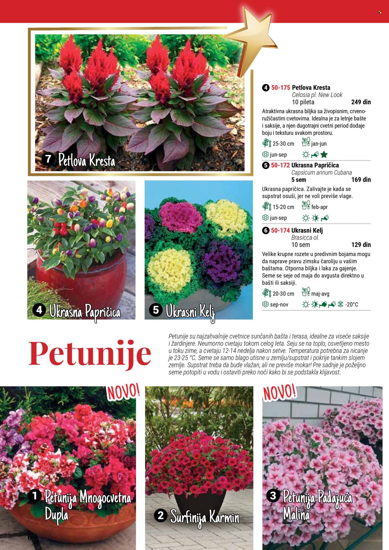 Flora Ekspres katalog. Stranica 1