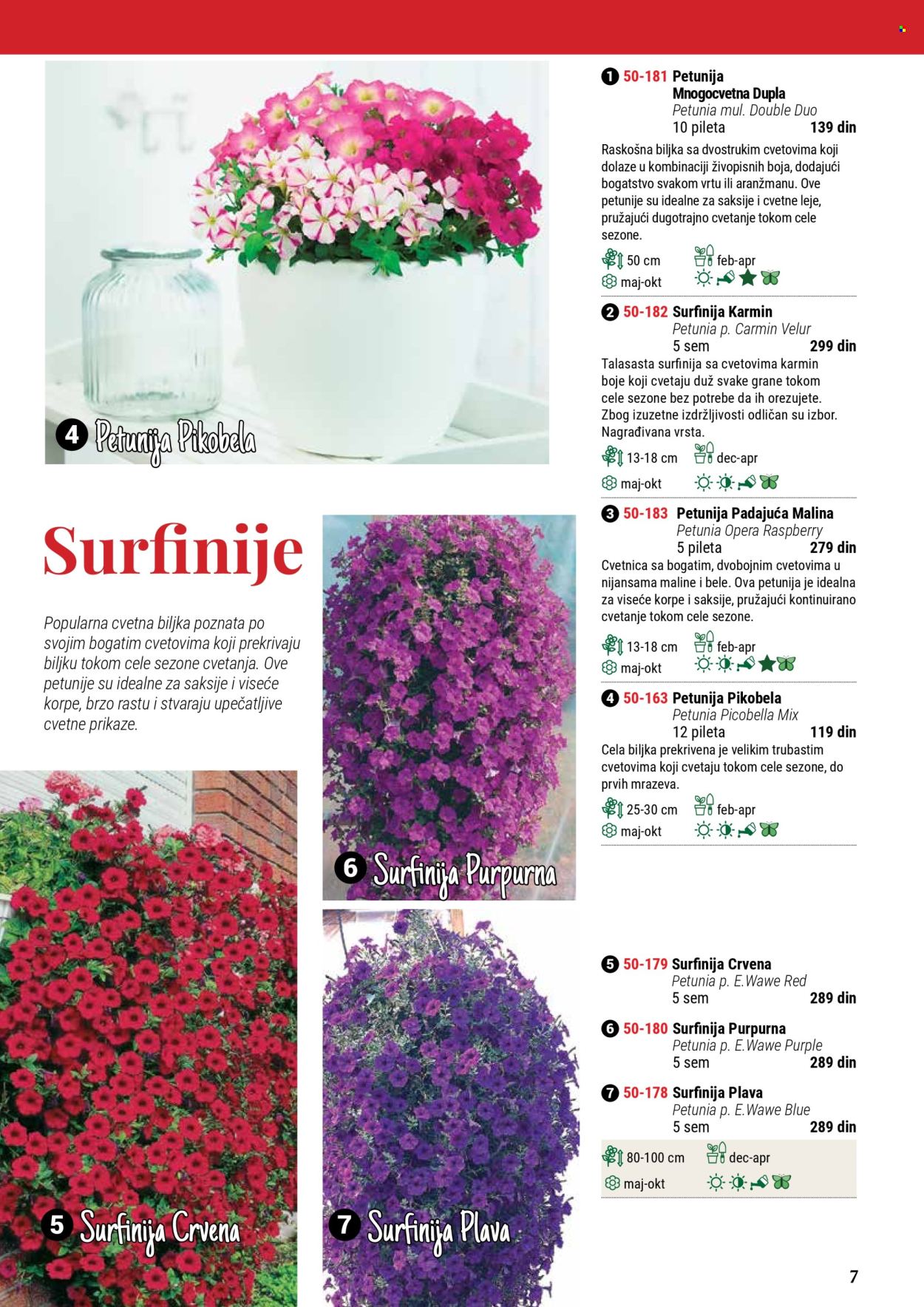 Flora Ekspres katalog. Stranica 1