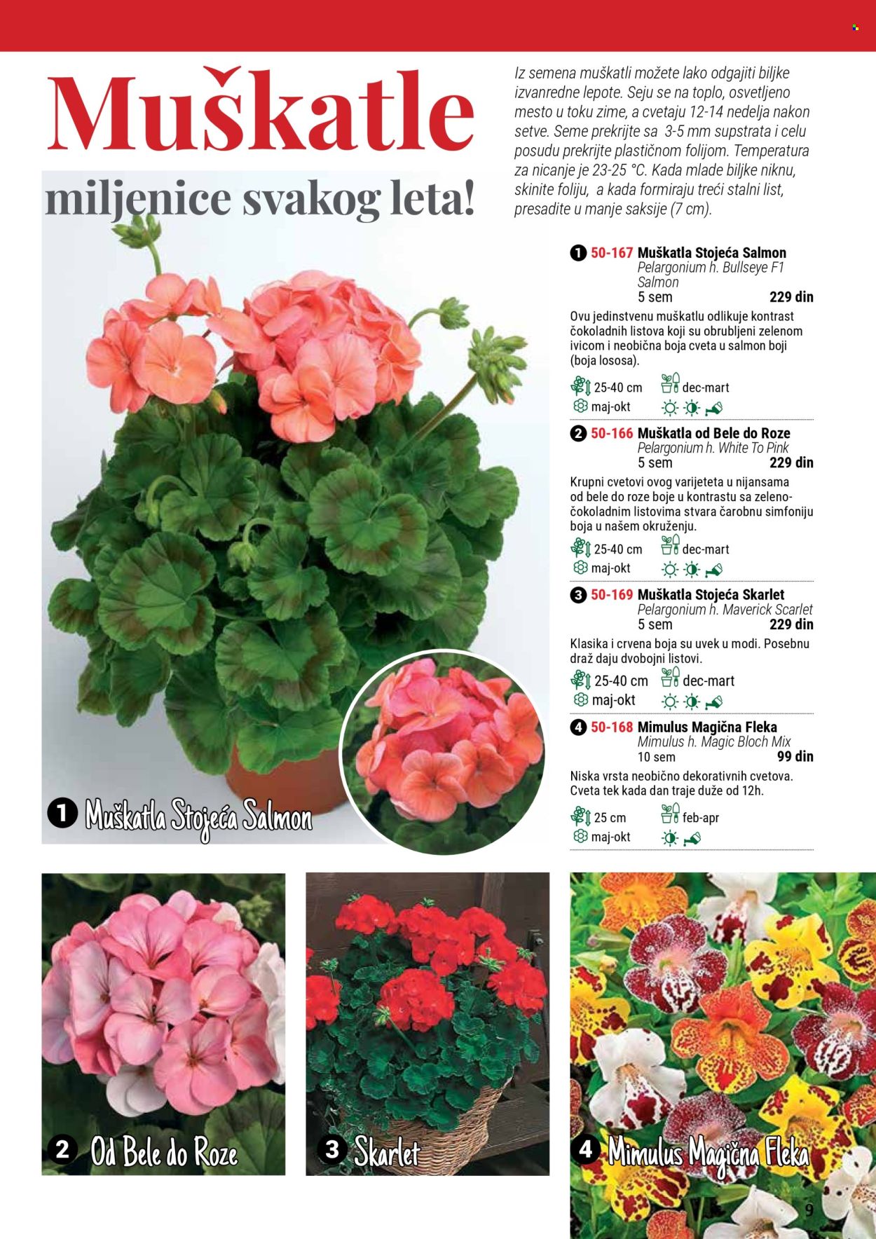 Flora Ekspres katalog. Stranica 1