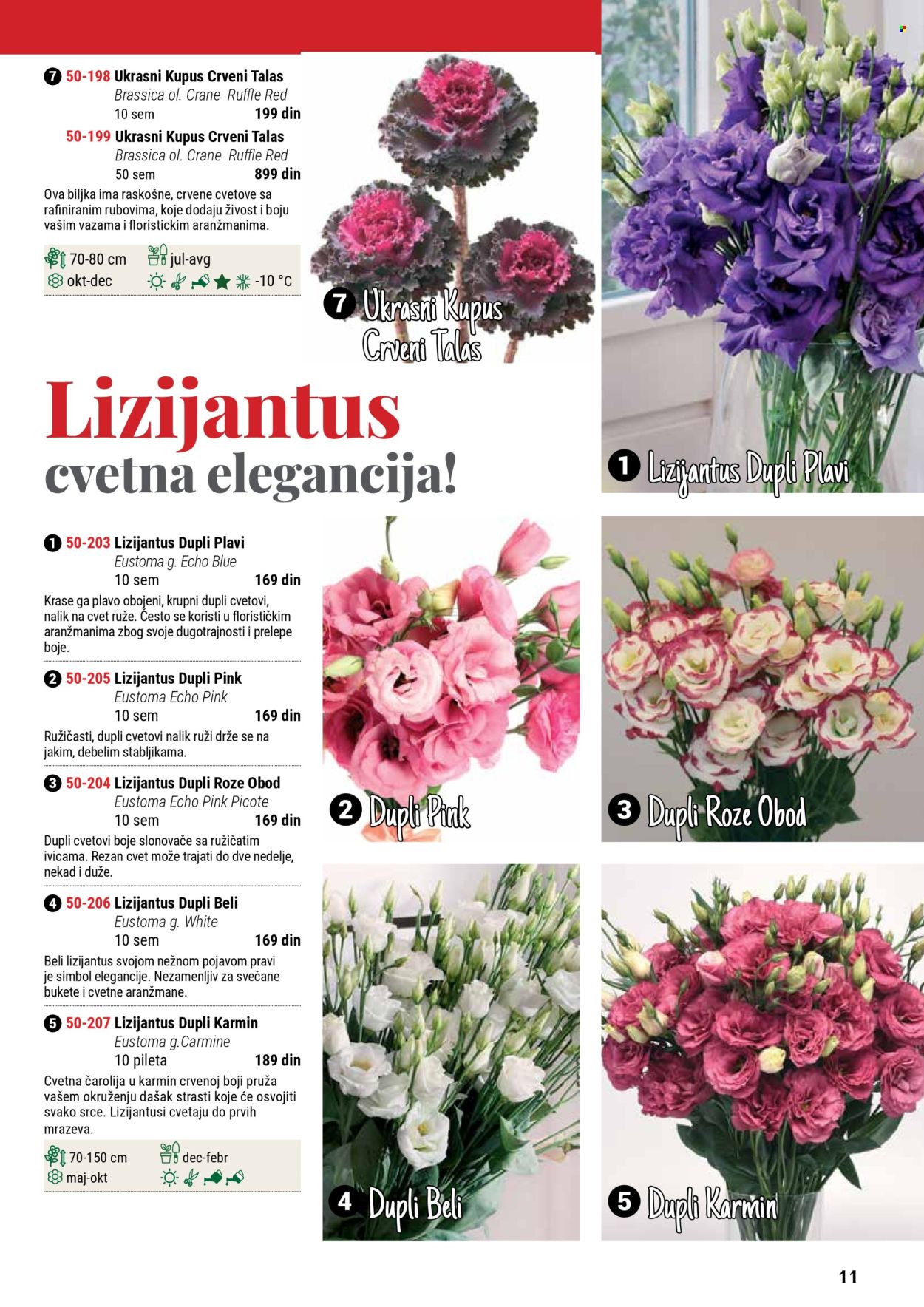 Flora Ekspres katalog. Stranica 1