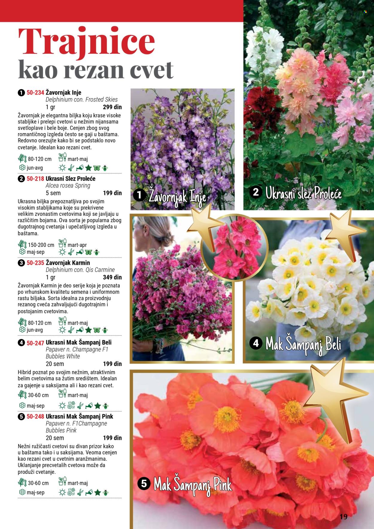 Flora Ekspres katalog. Stranica 1
