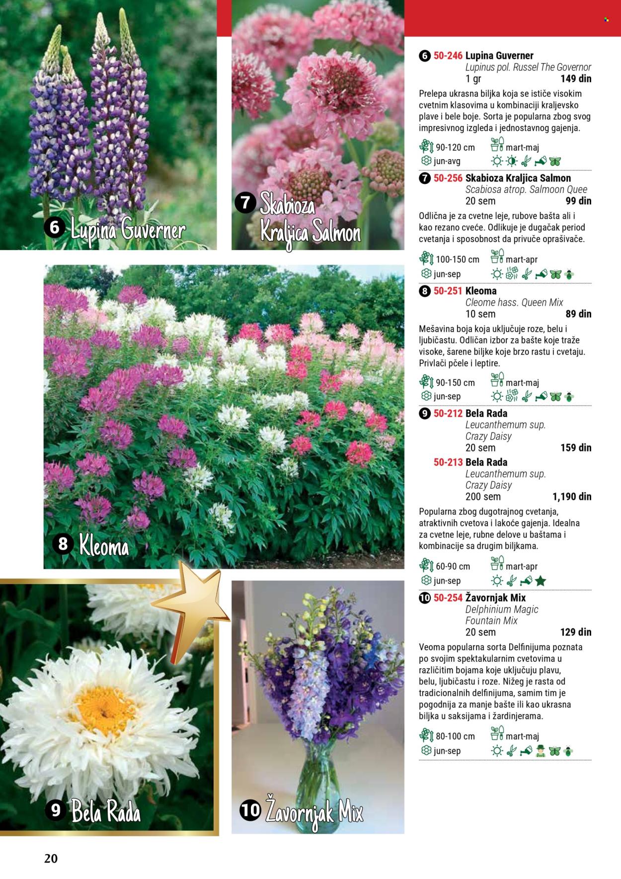 Flora Ekspres katalog. Stranica 1
