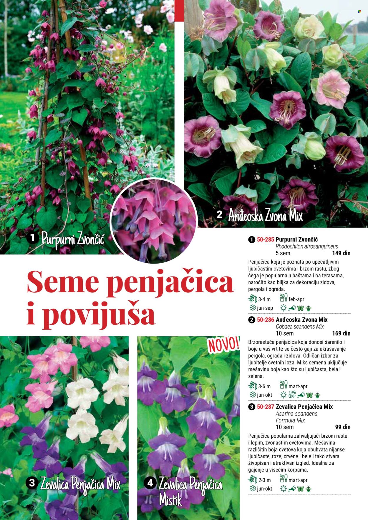 Flora Ekspres katalog. Stranica 1