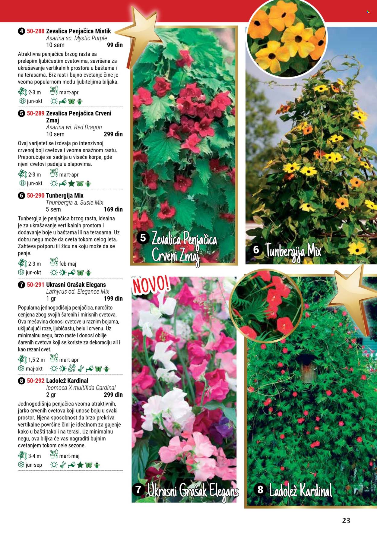 Flora Ekspres katalog. Stranica 1