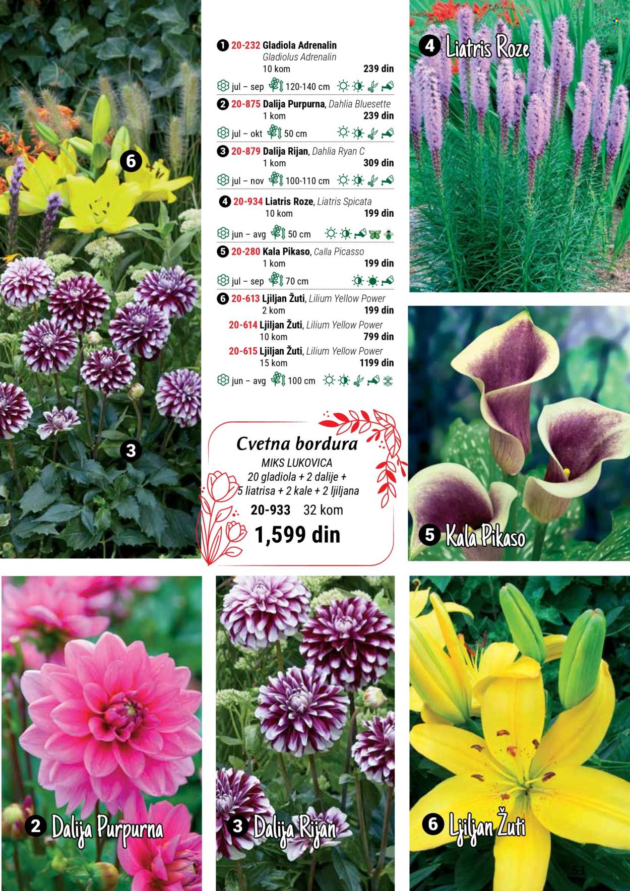 Flora Ekspres katalog. Stranica 1