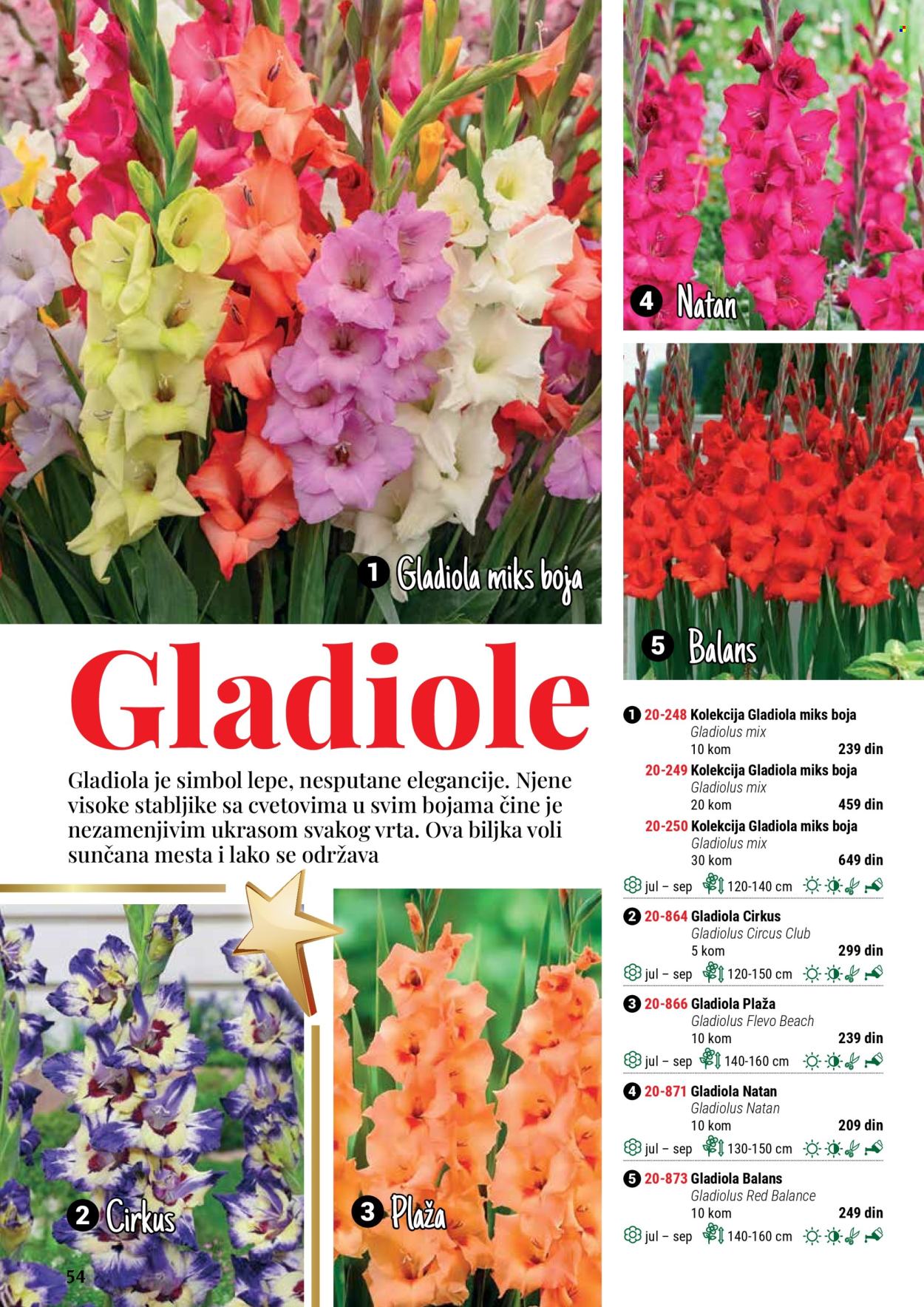 Flora Ekspres katalog. Stranica 1