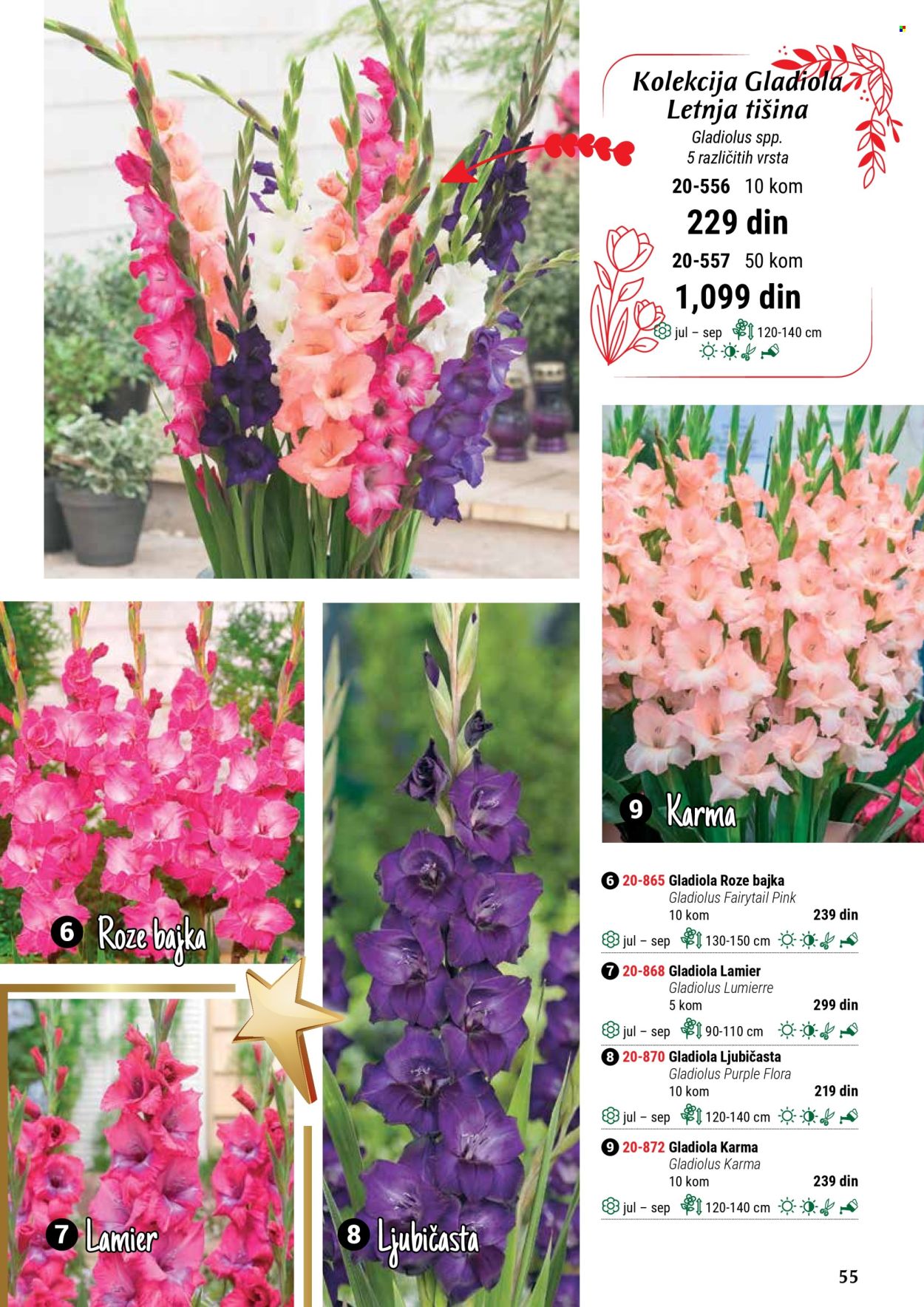 Flora Ekspres katalog. Stranica 1