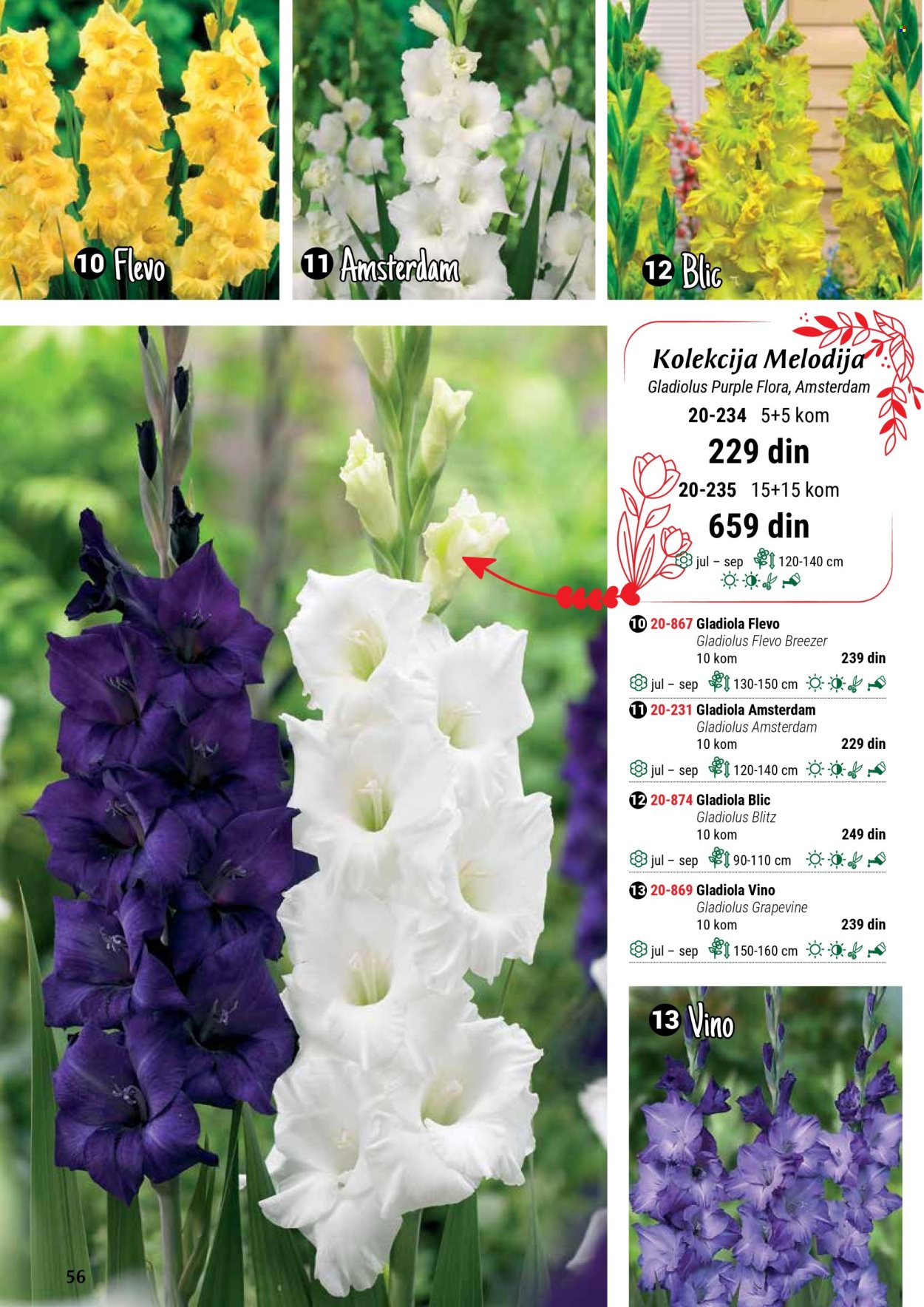 Flora Ekspres katalog. Stranica 1