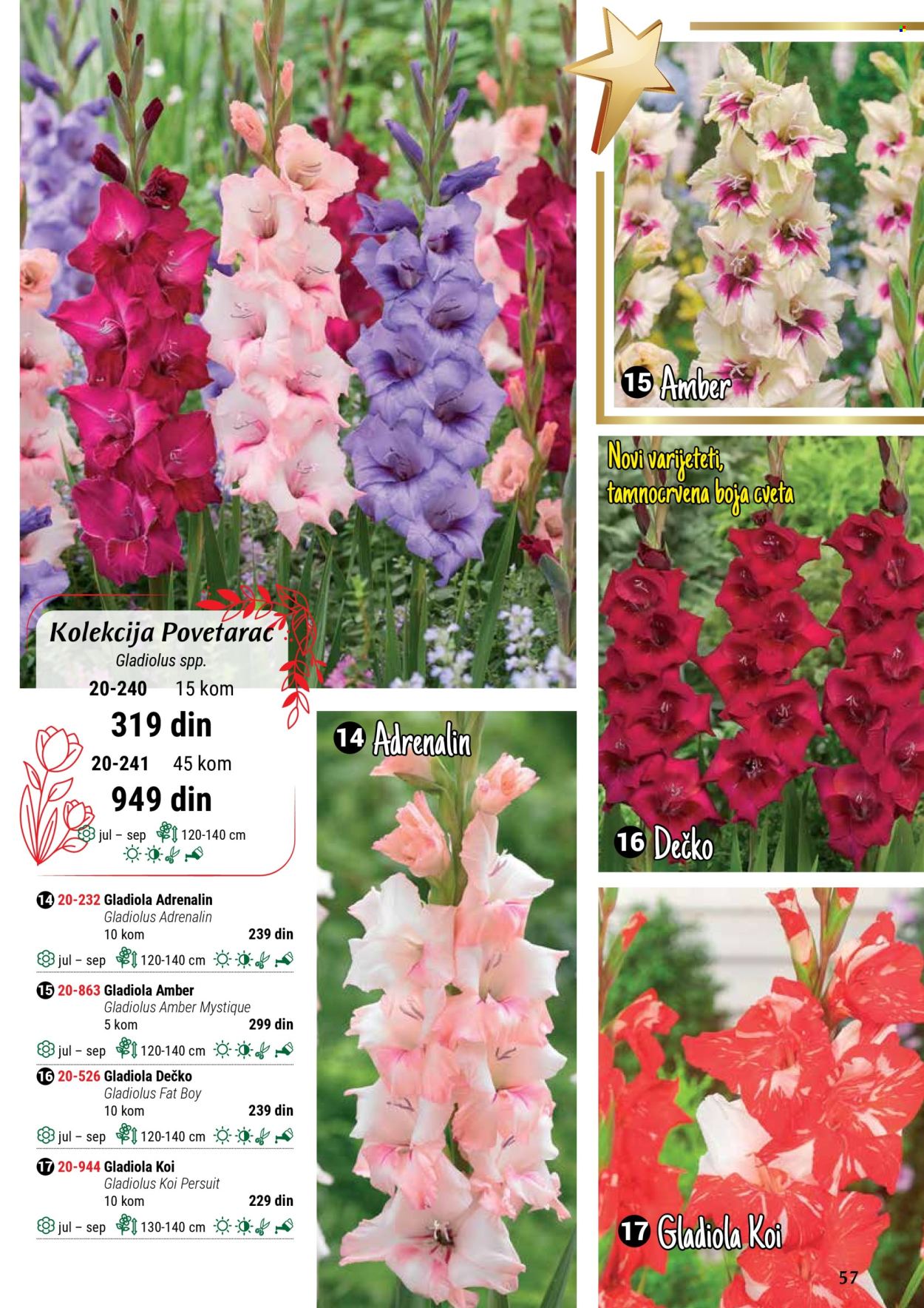 Flora Ekspres katalog. Stranica 1