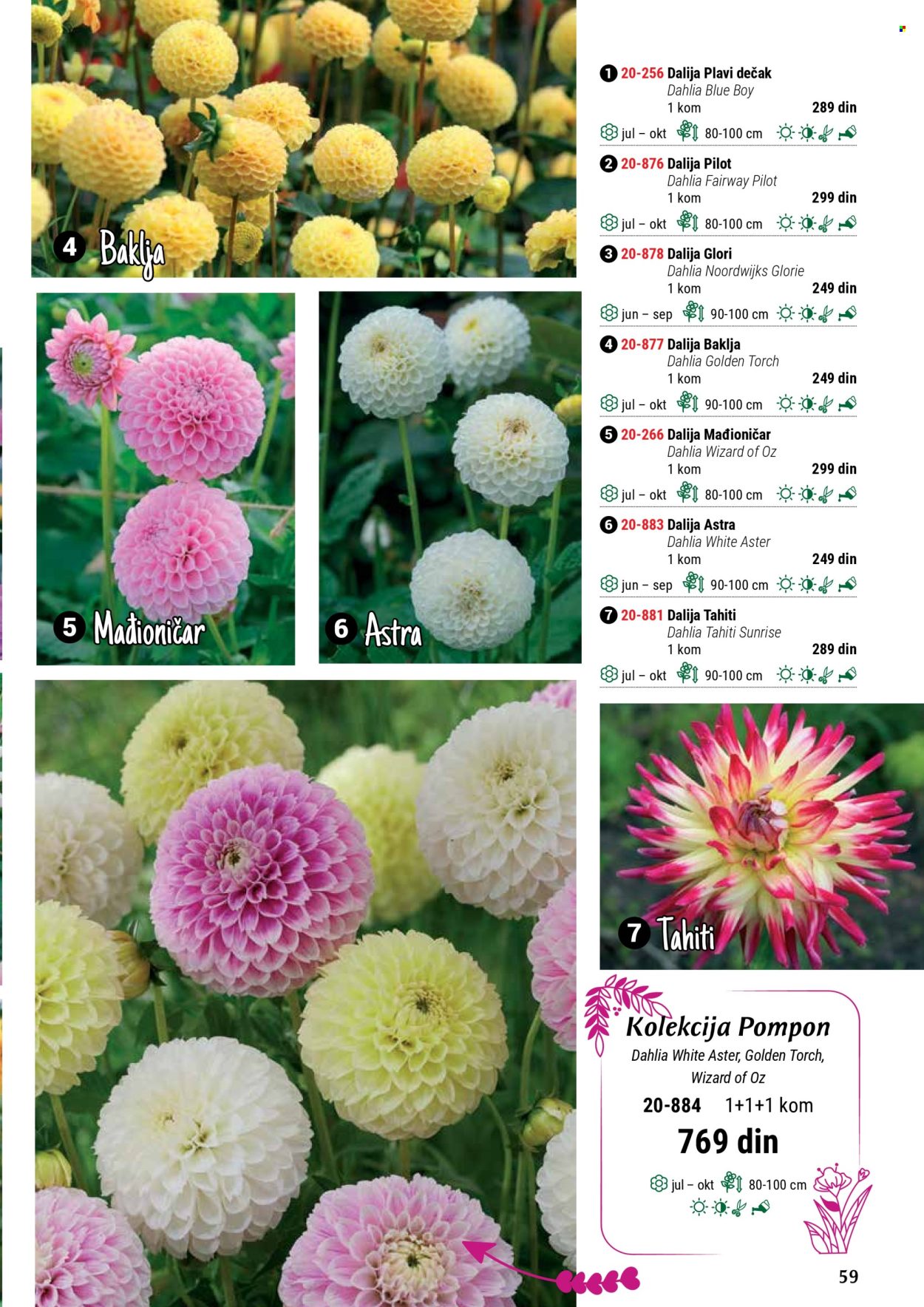 Flora Ekspres katalog. Stranica 1