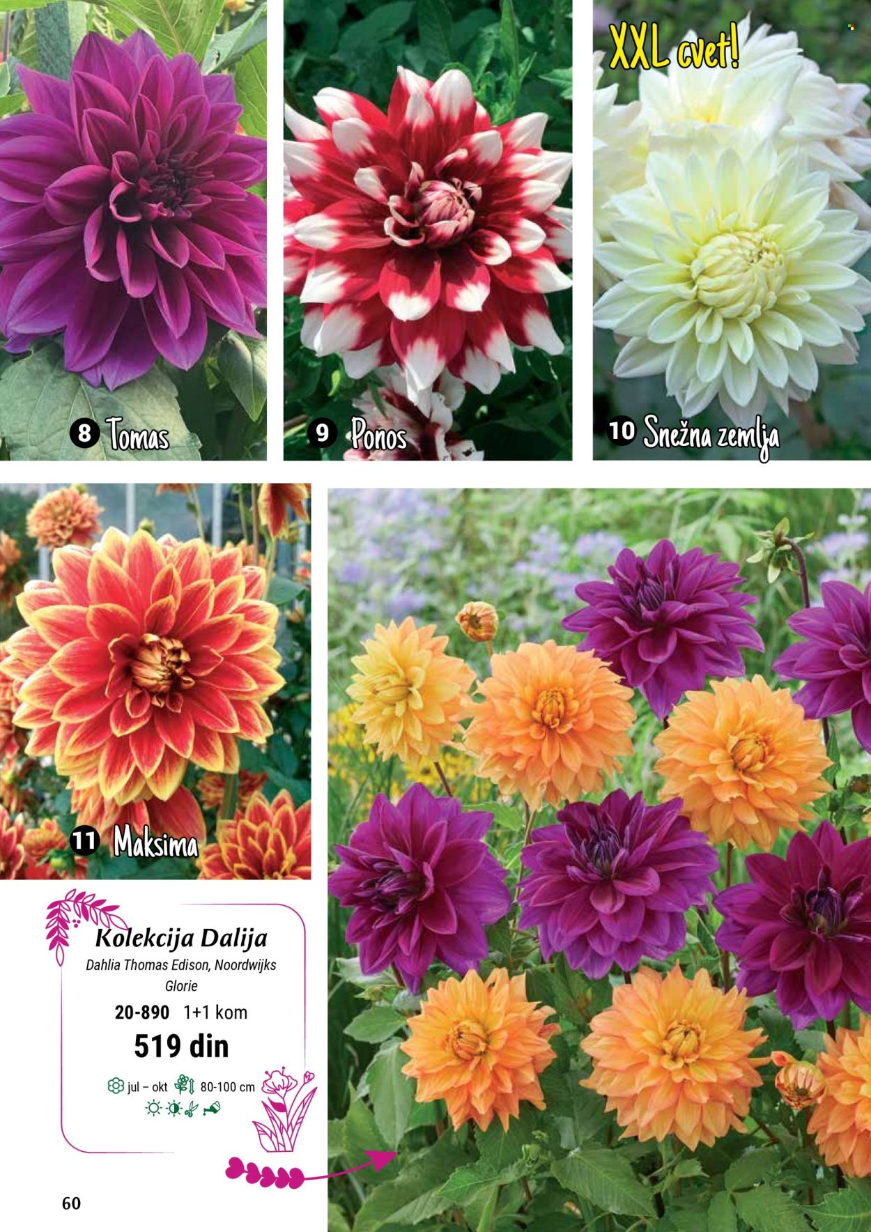 Flora Ekspres katalog. Stranica 1