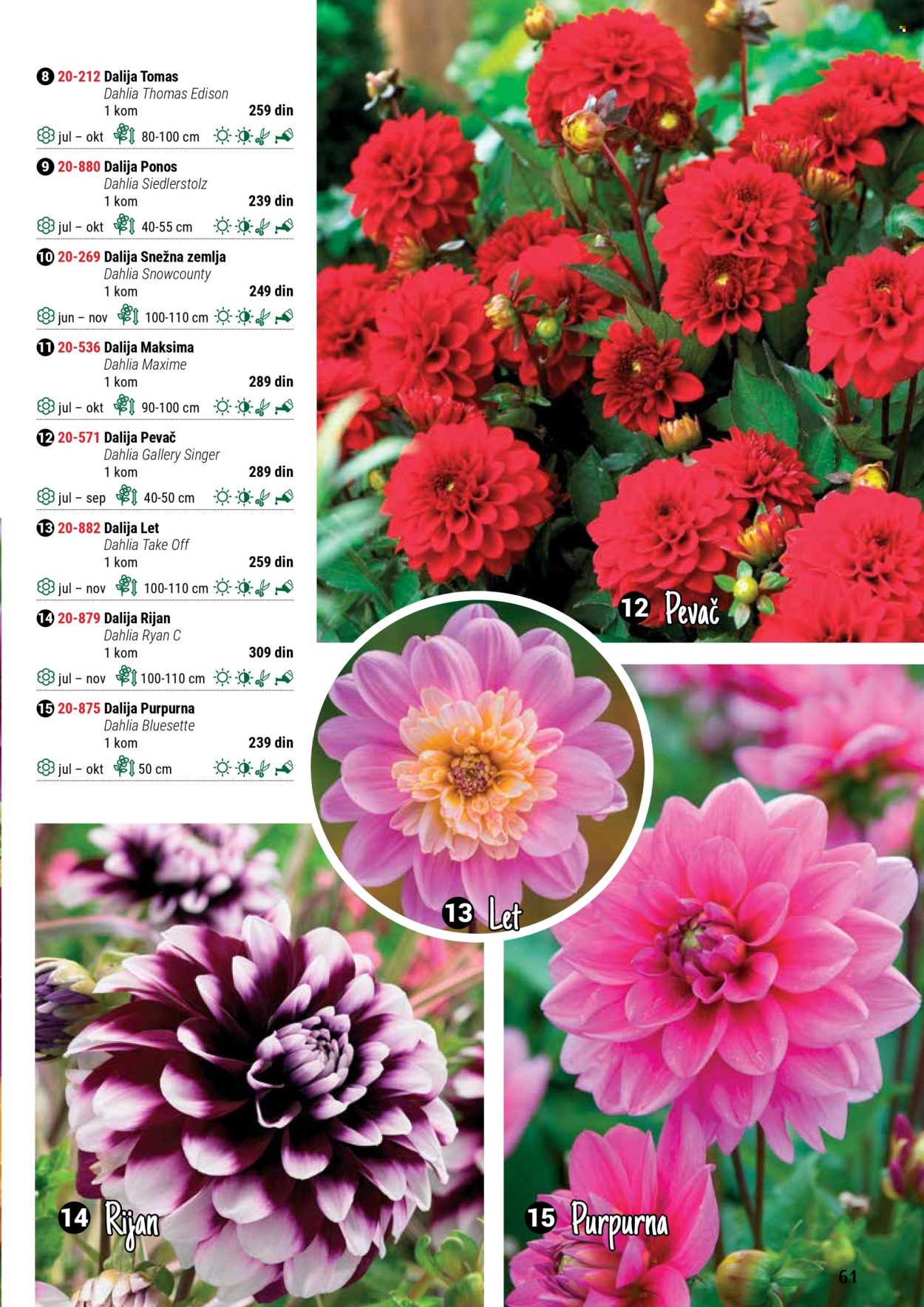 Flora Ekspres katalog. Stranica 1