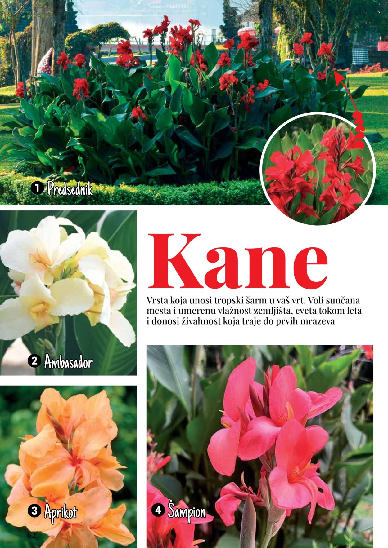 Flora Ekspres katalog. Stranica 1