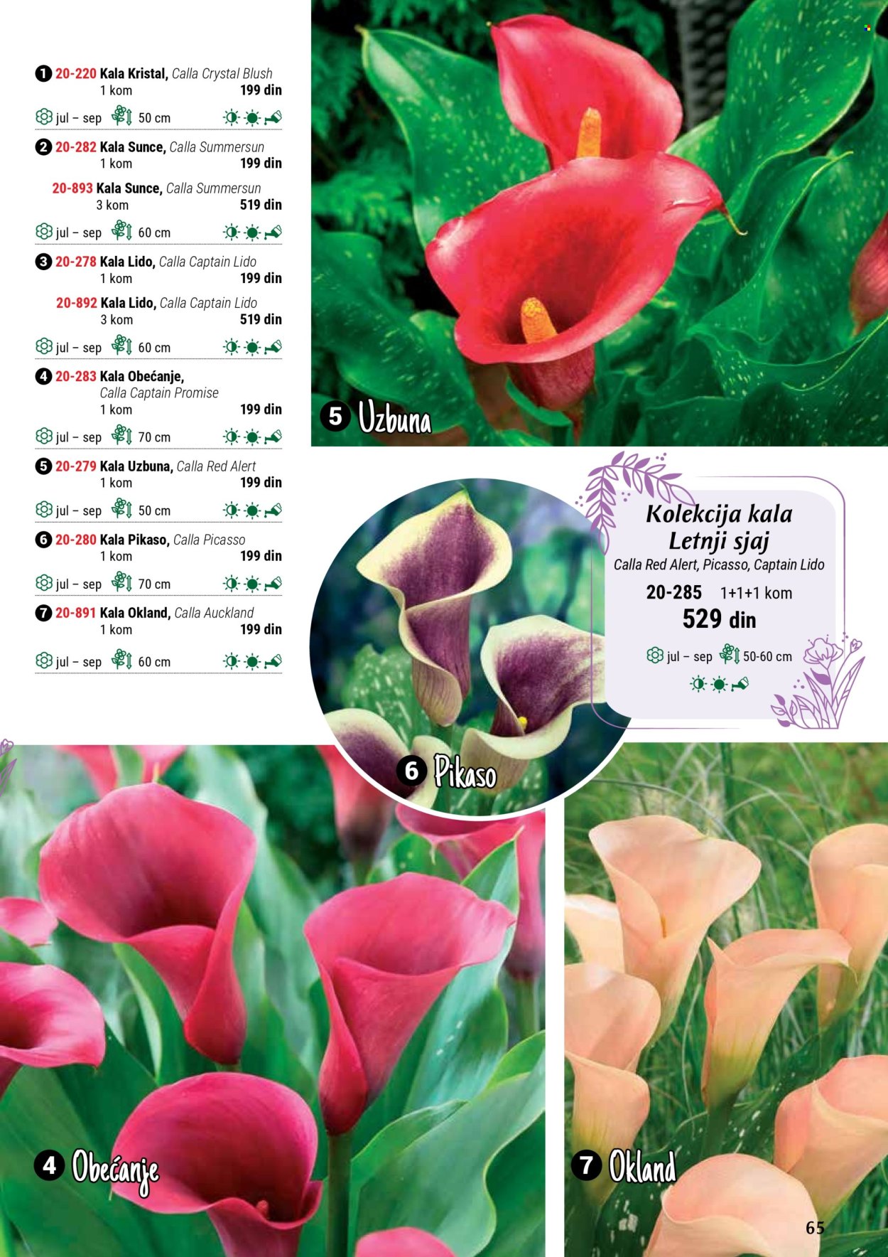 Flora Ekspres katalog. Stranica 1