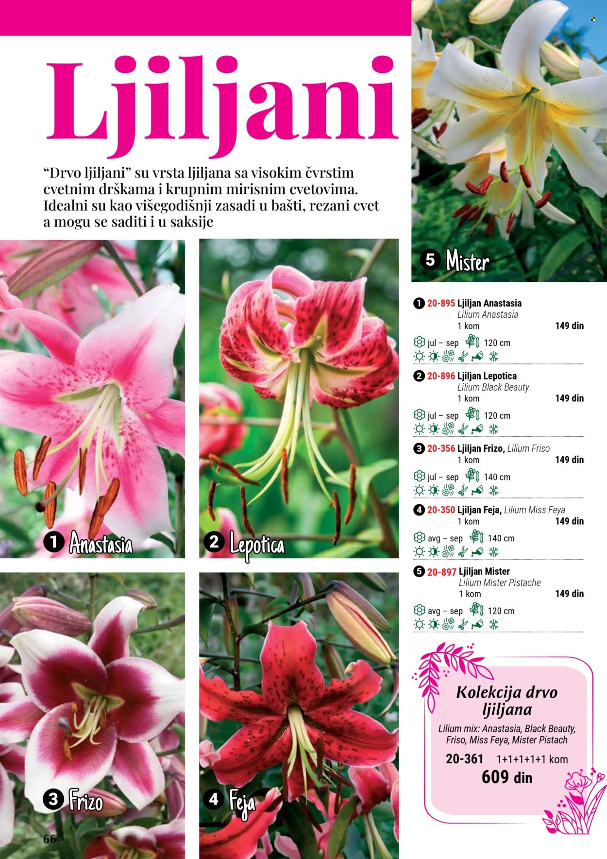 Flora Ekspres katalog. Stranica 1