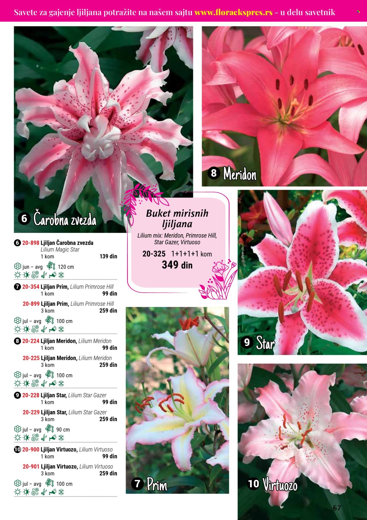 Flora Ekspres katalog. Stranica 1