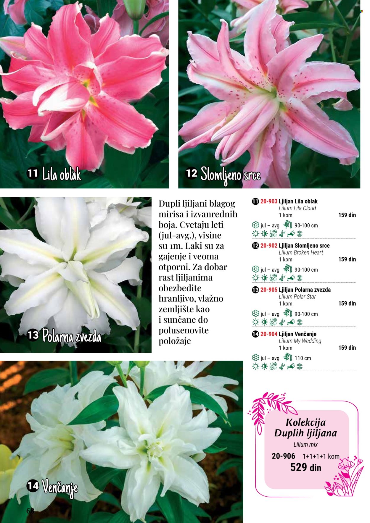 Flora Ekspres katalog. Stranica 1