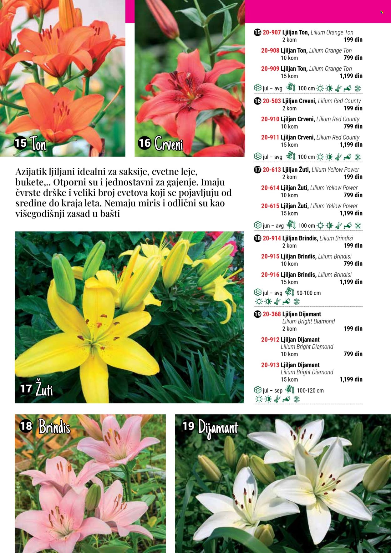 Flora Ekspres katalog. Stranica 1
