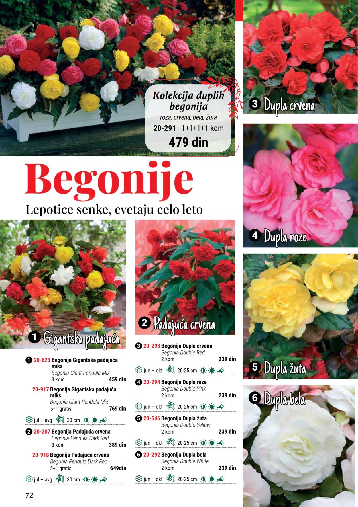 Flora Ekspres katalog. Stranica 1