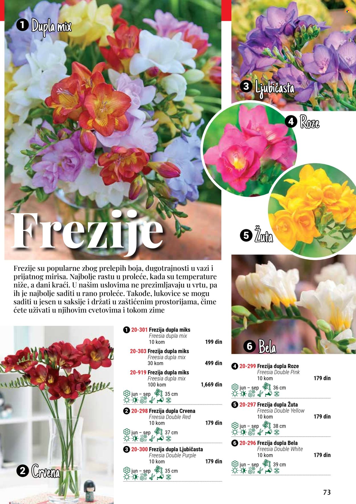 Flora Ekspres katalog. Stranica 1
