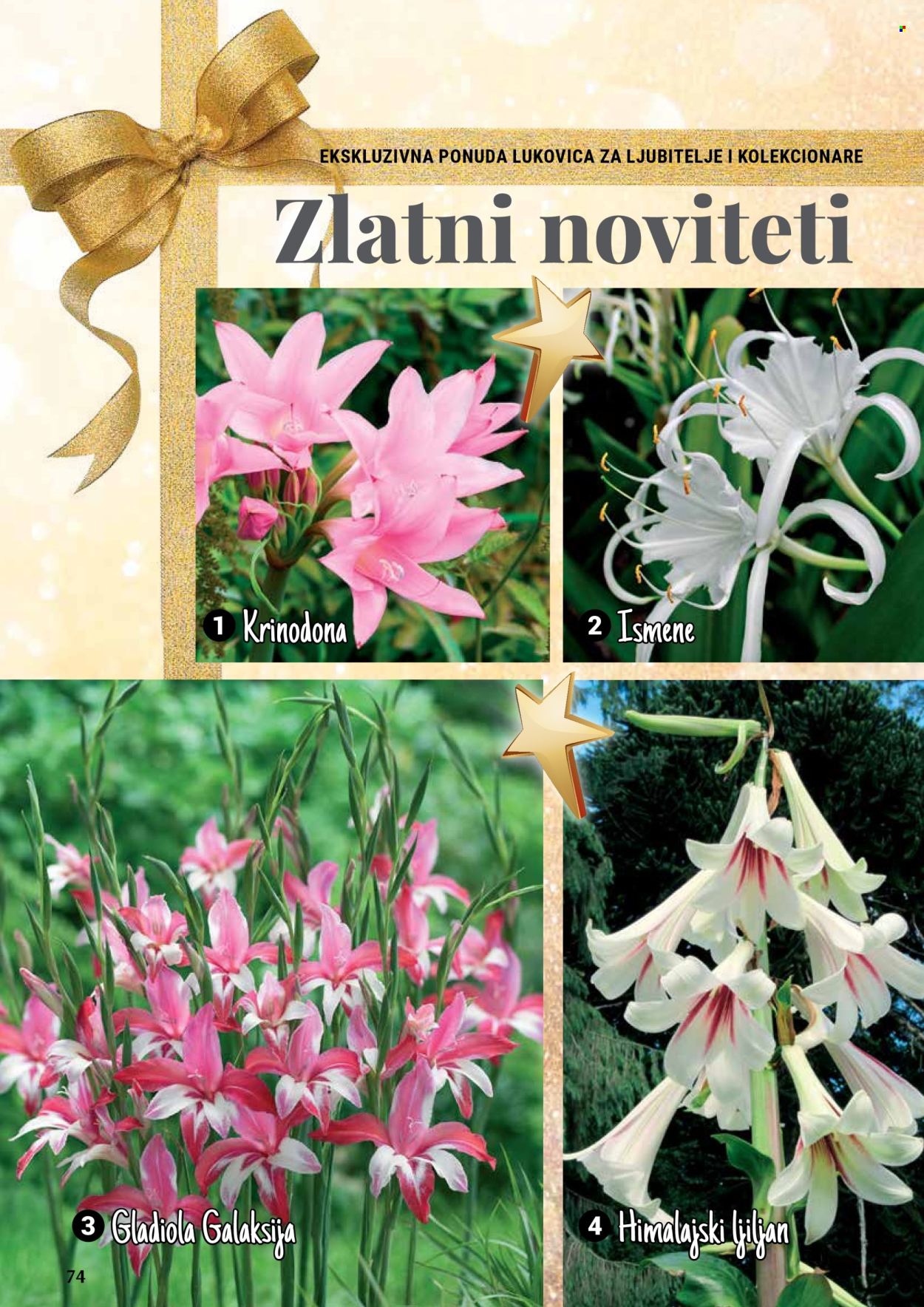 Flora Ekspres katalog. Stranica 1
