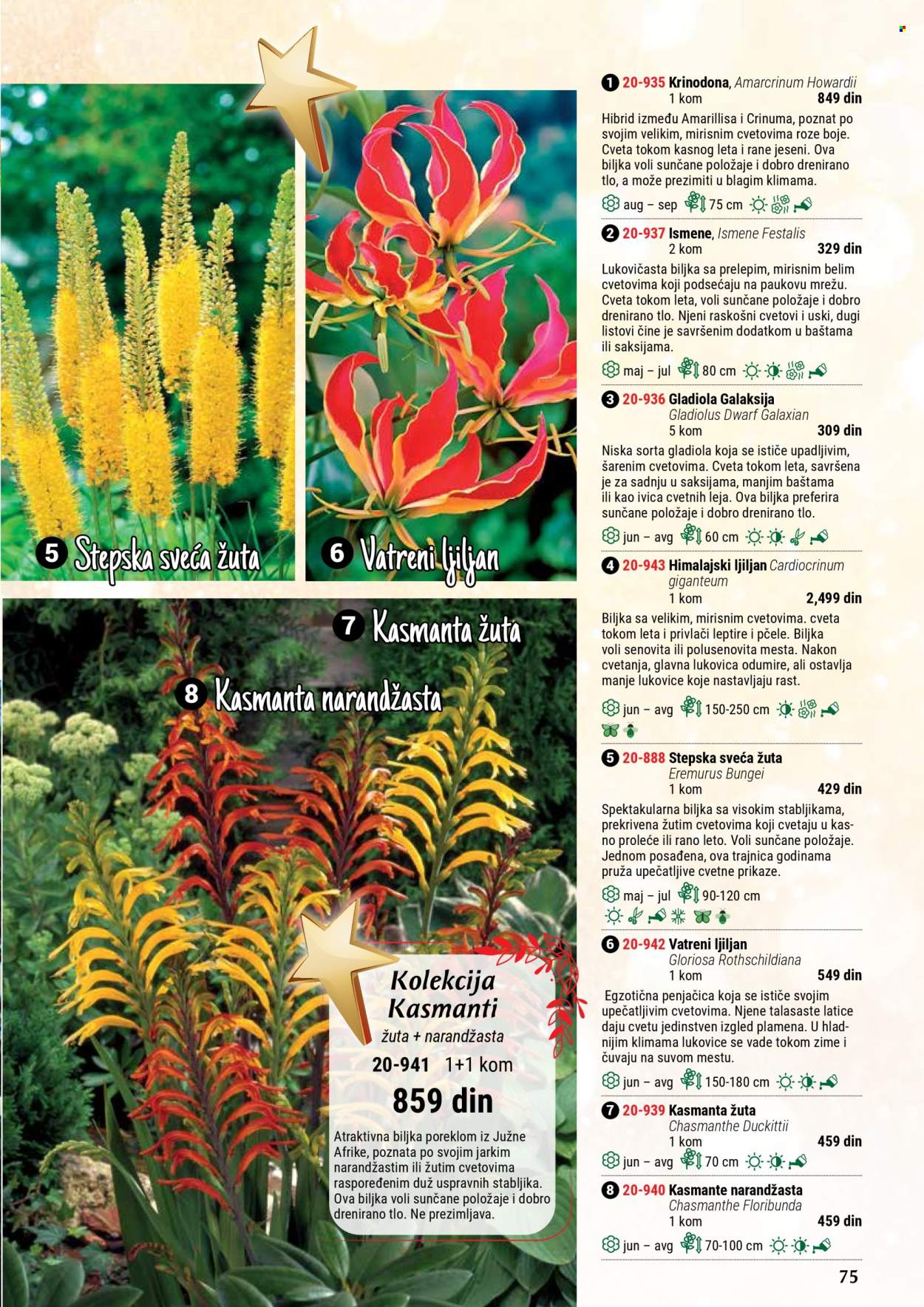 Flora Ekspres katalog. Stranica 1