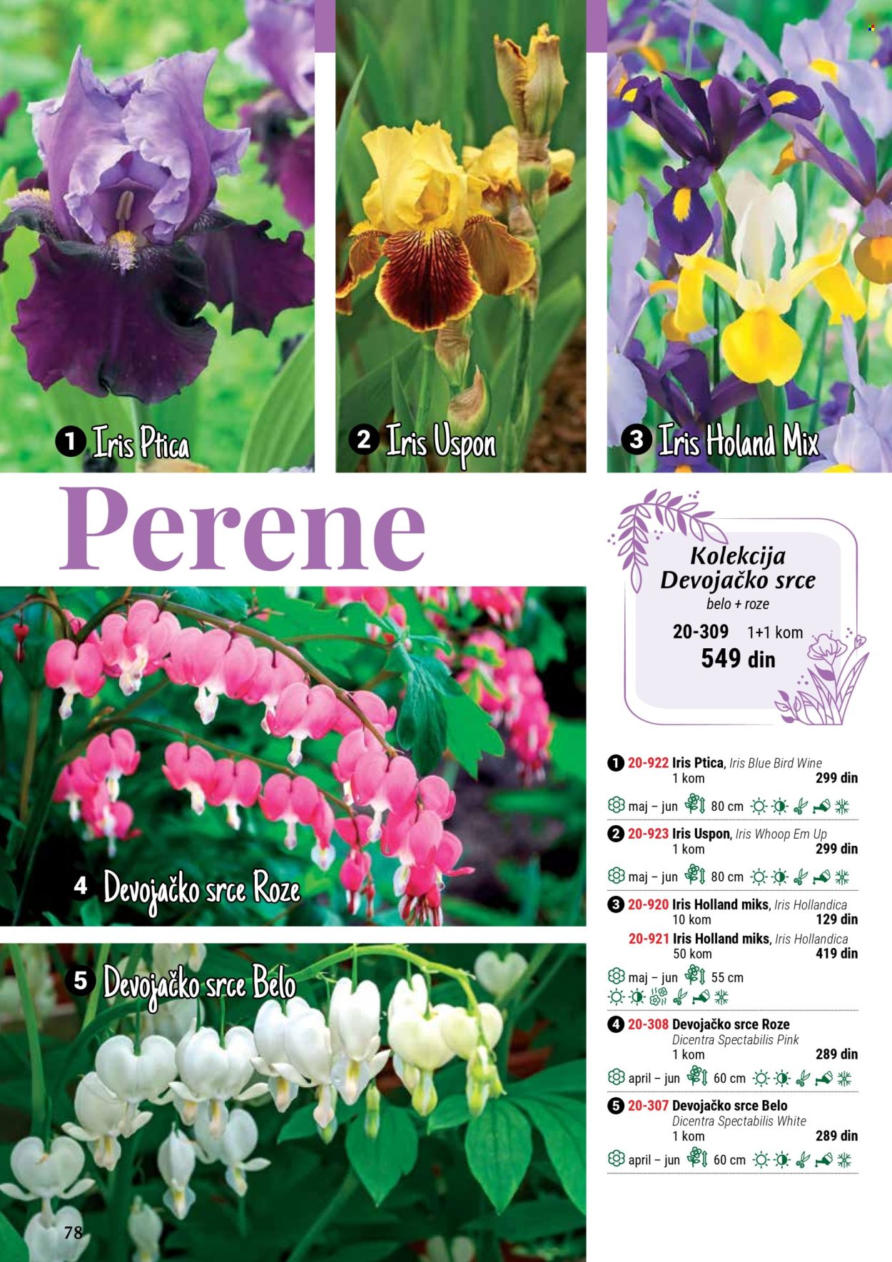 Flora Ekspres katalog. Stranica 1