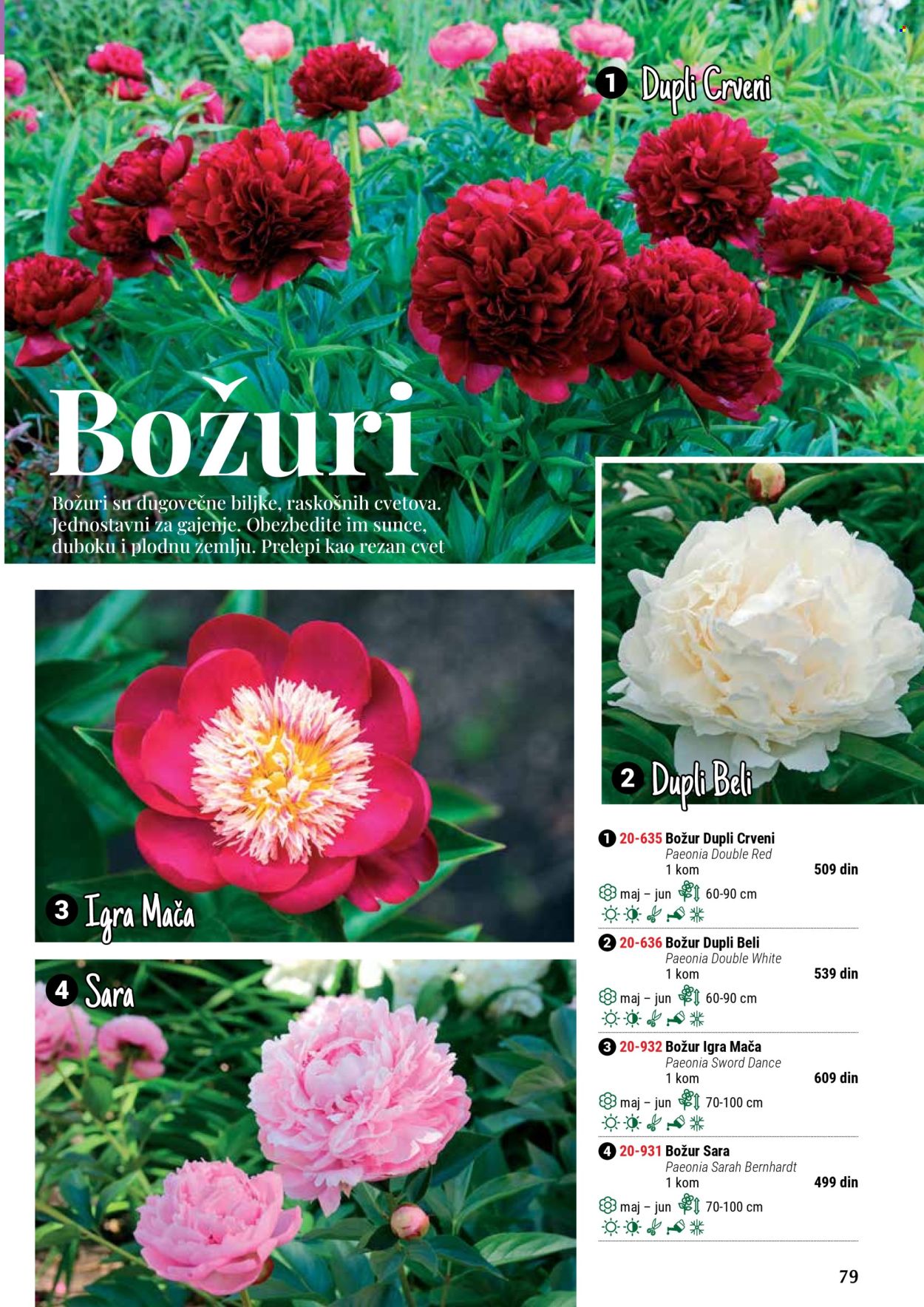 Flora Ekspres katalog. Stranica 1