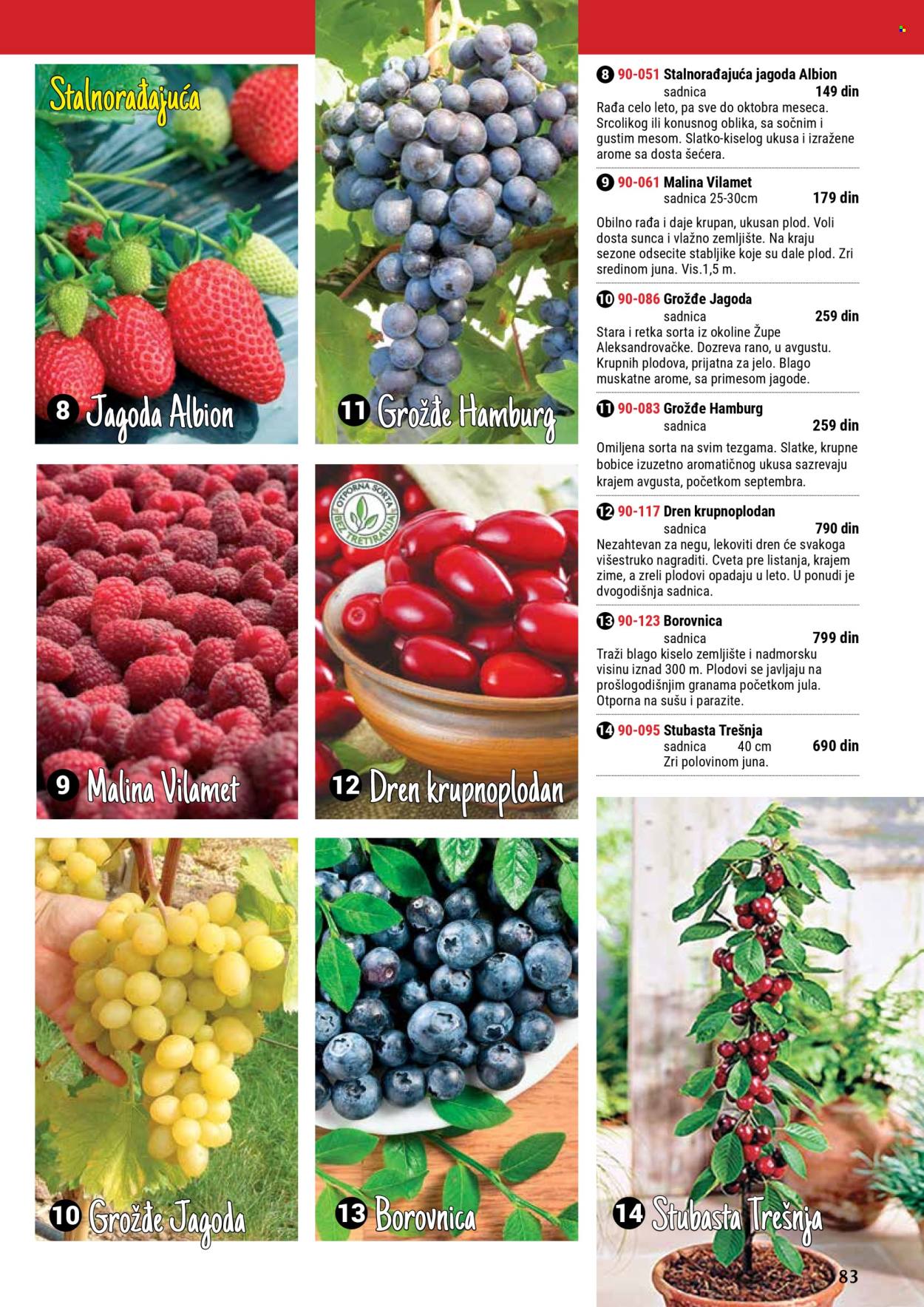 Flora Ekspres katalog. Stranica 1