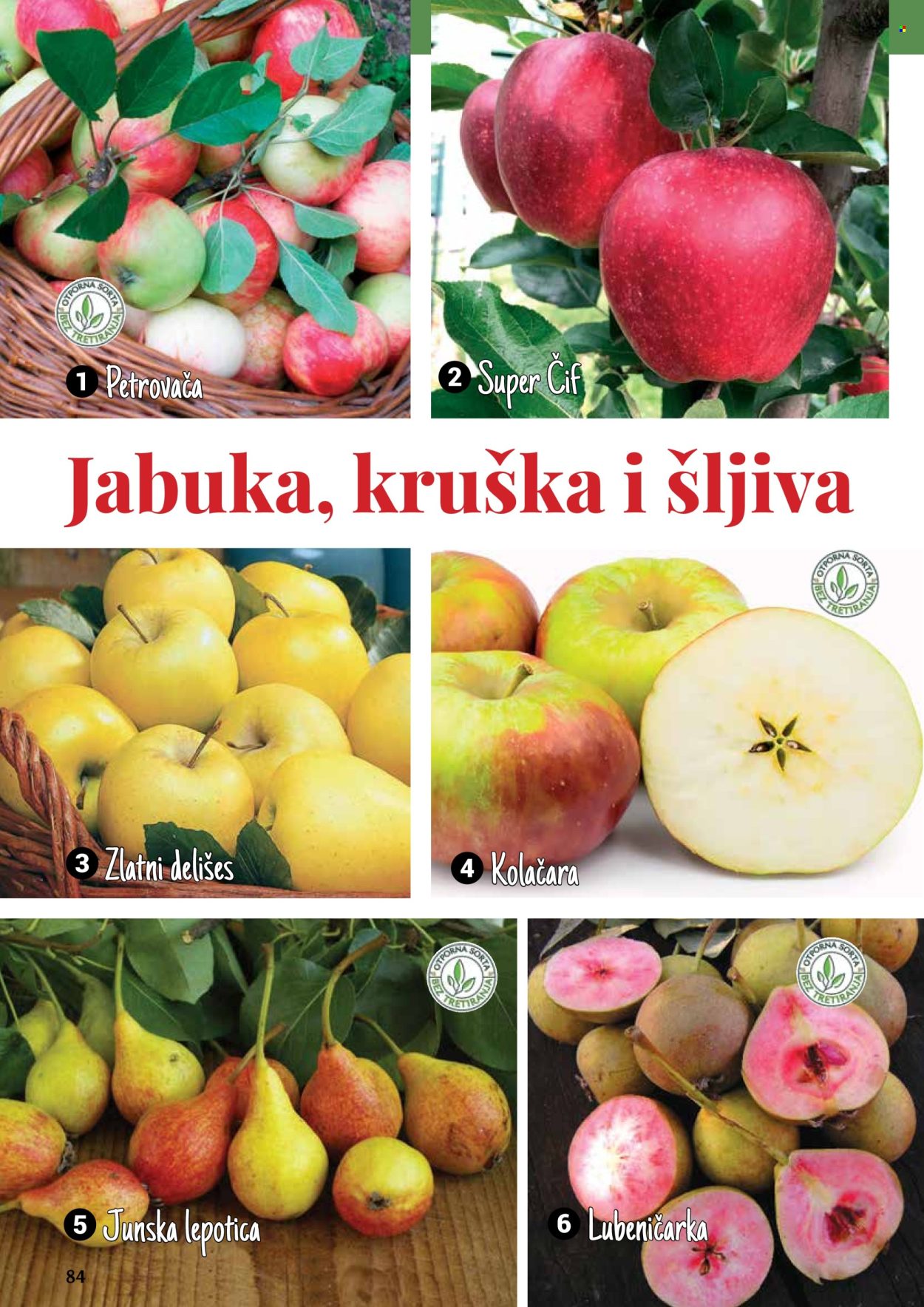 Flora Ekspres katalog. Stranica 1