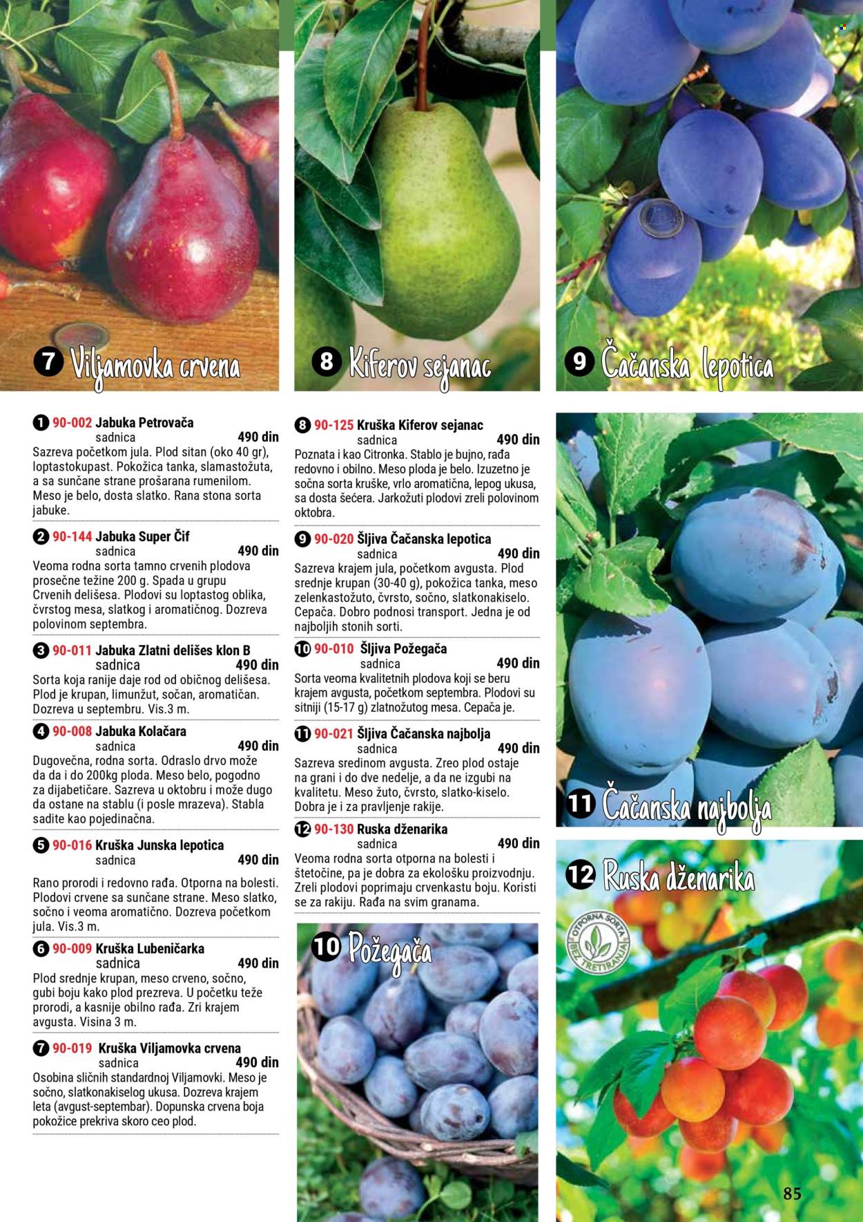 Flora Ekspres katalog. Stranica 1