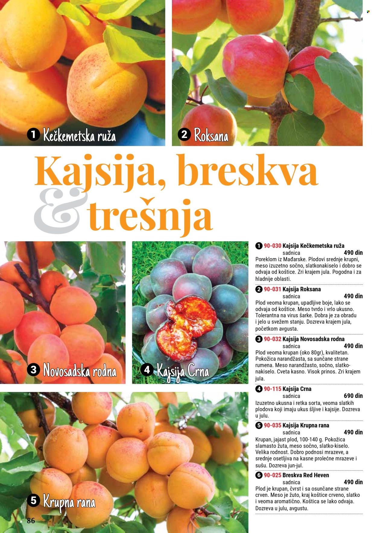 Flora Ekspres katalog. Stranica 1
