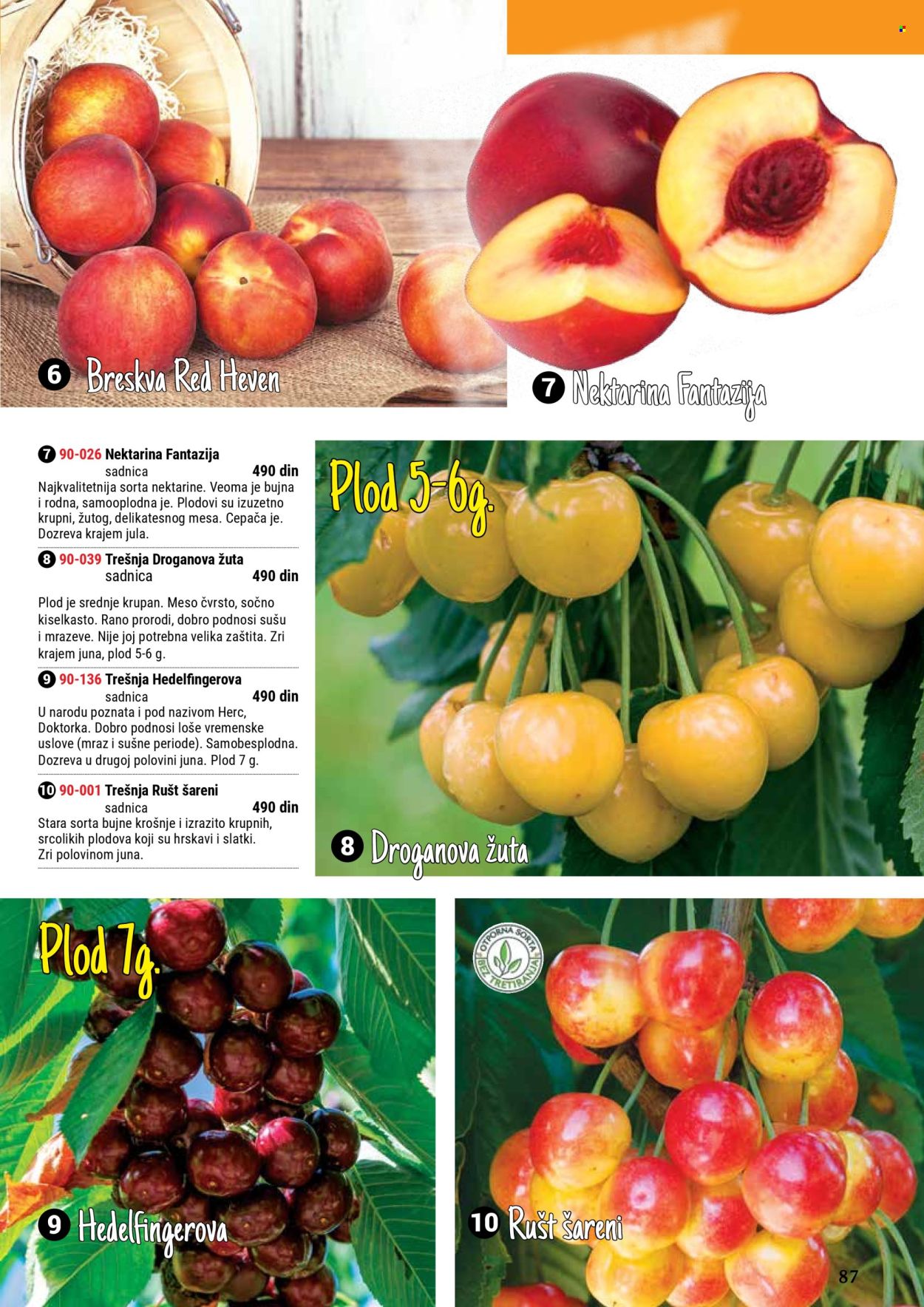 Flora Ekspres katalog. Stranica 1
