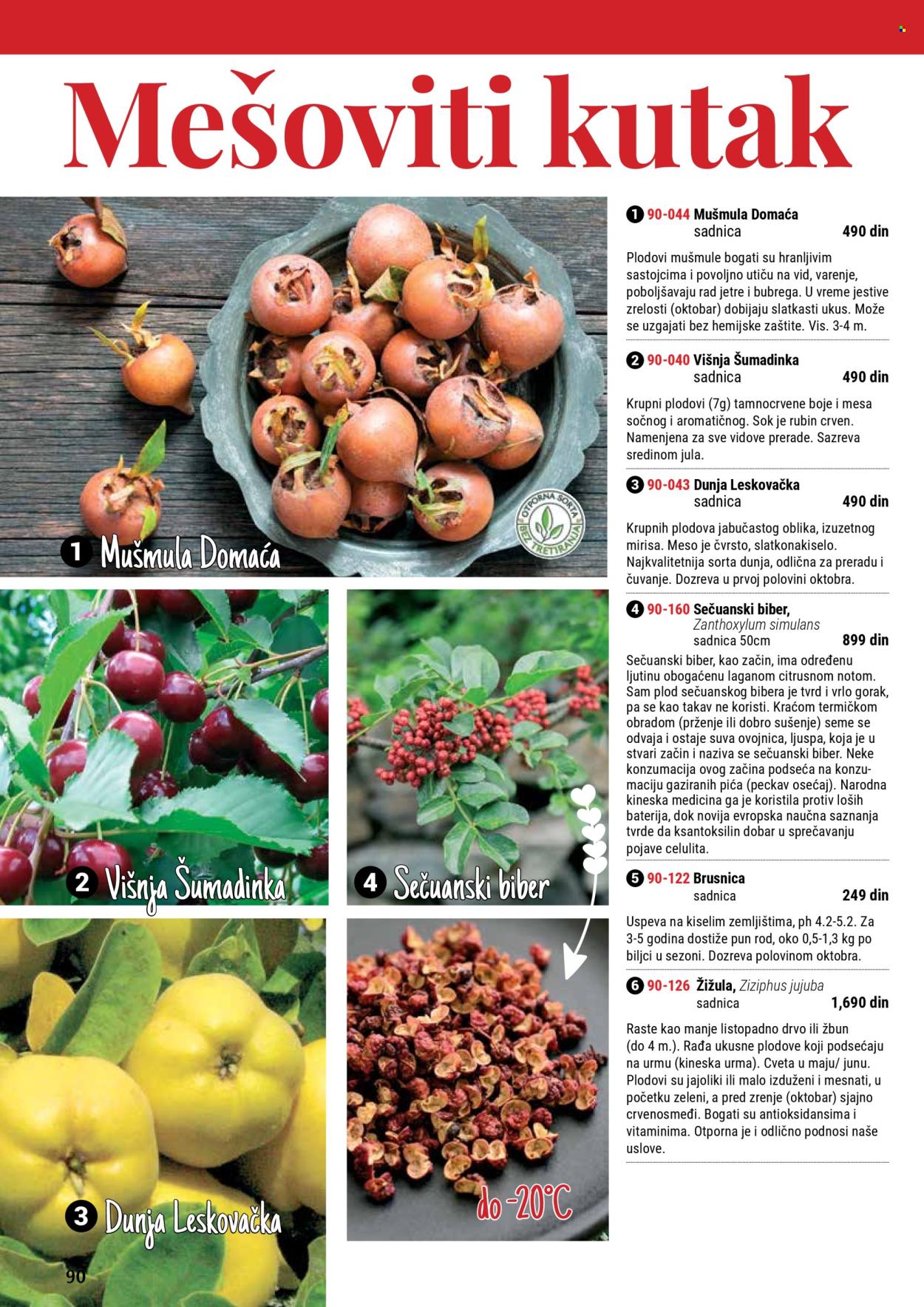 Flora Ekspres katalog. Stranica 1