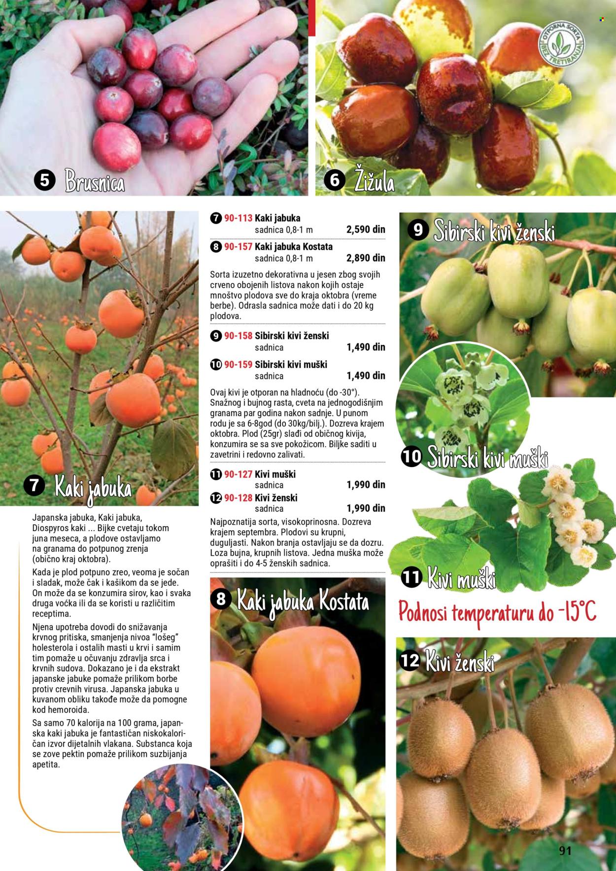 Flora Ekspres katalog. Stranica 1