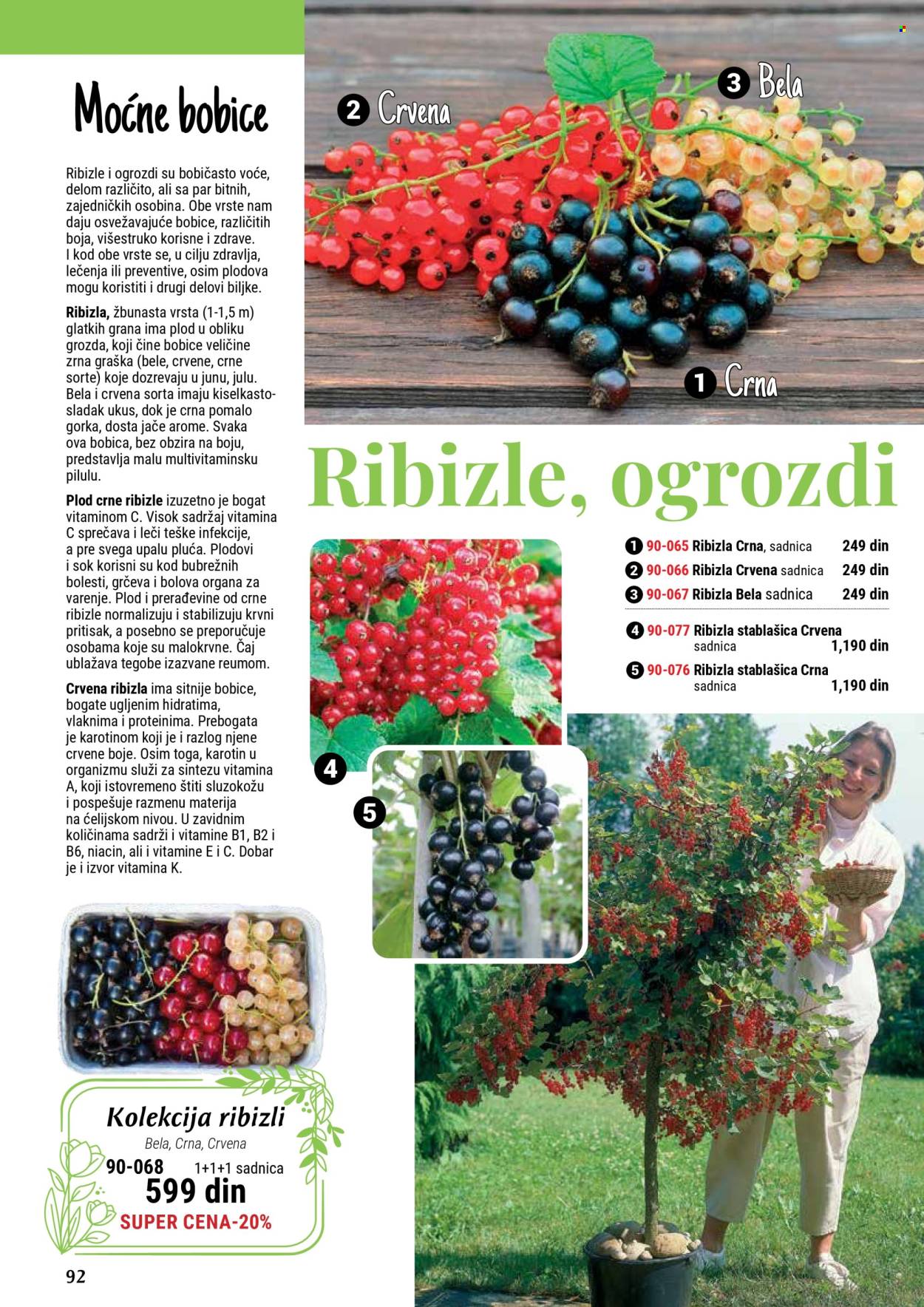 Flora Ekspres katalog. Stranica 1
