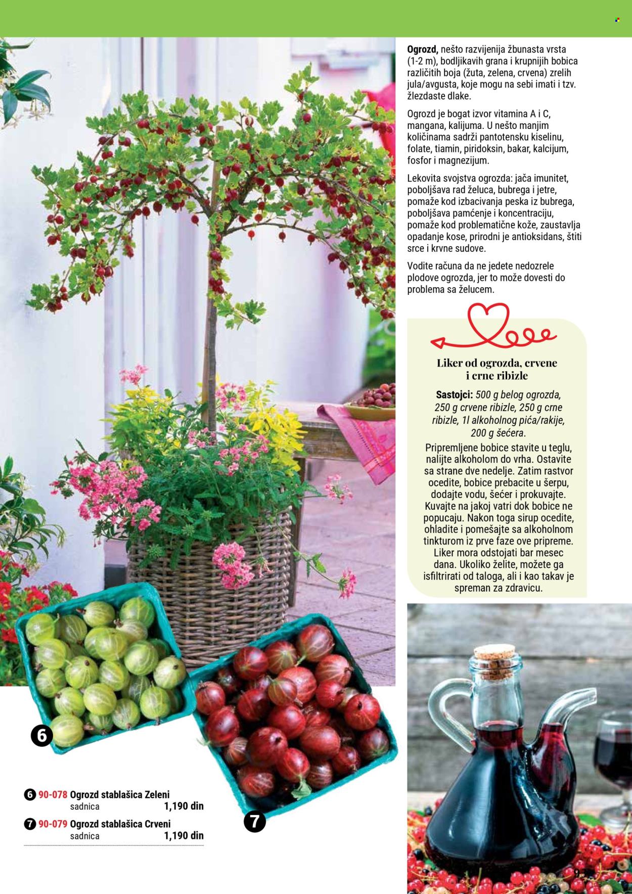Flora Ekspres katalog. Stranica 1