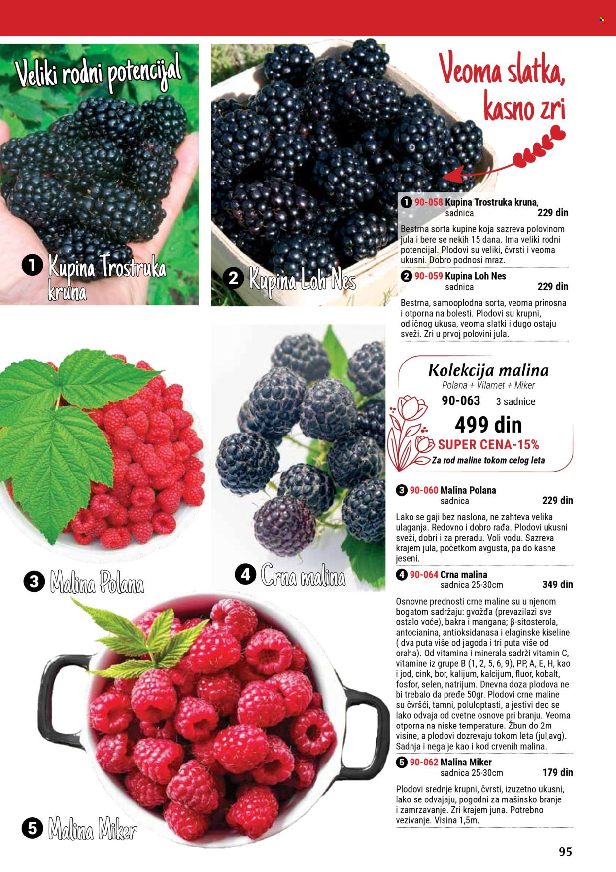 Flora Ekspres katalog. Stranica 1