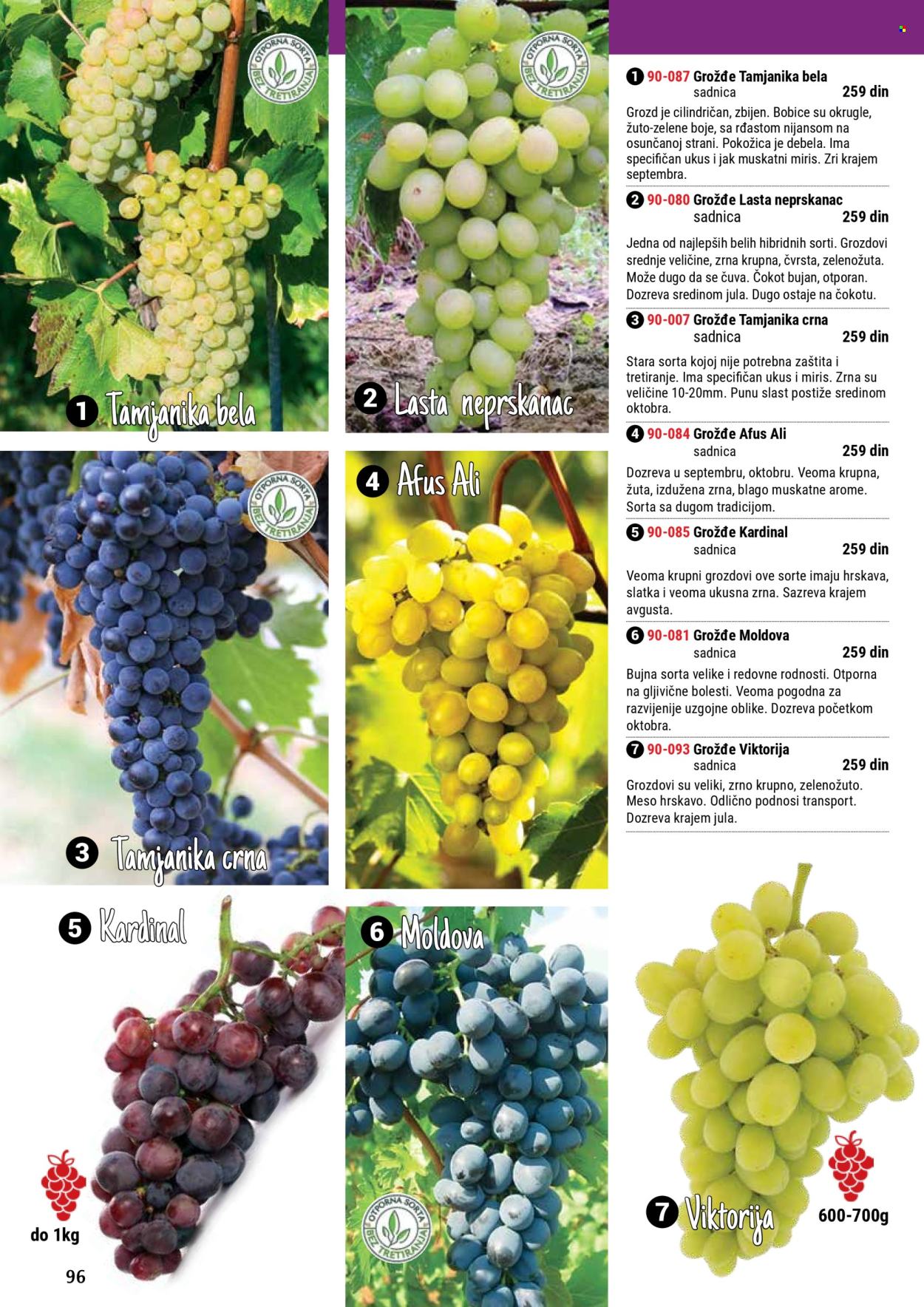 Flora Ekspres katalog. Stranica 1