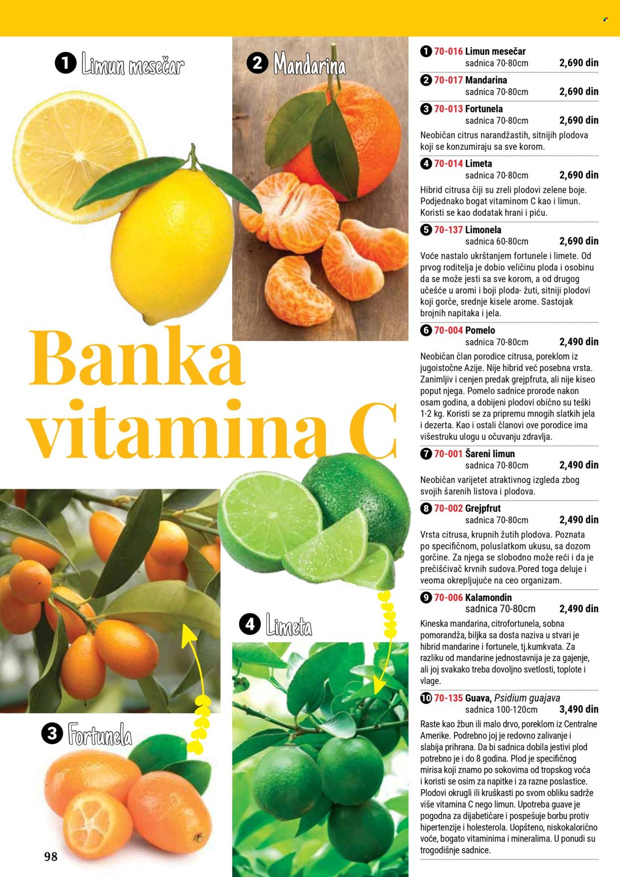 Flora Ekspres katalog. Stranica 1