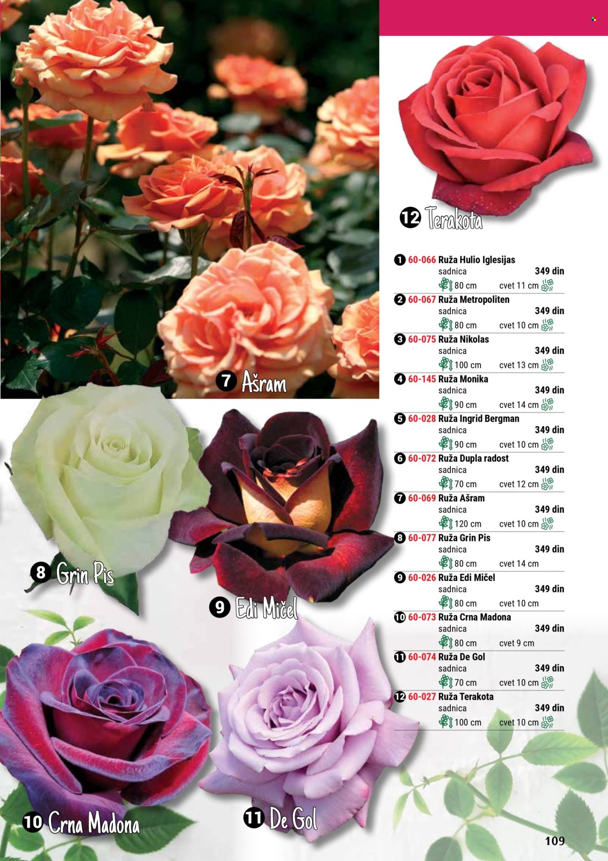 Flora Ekspres katalog. Stranica 1